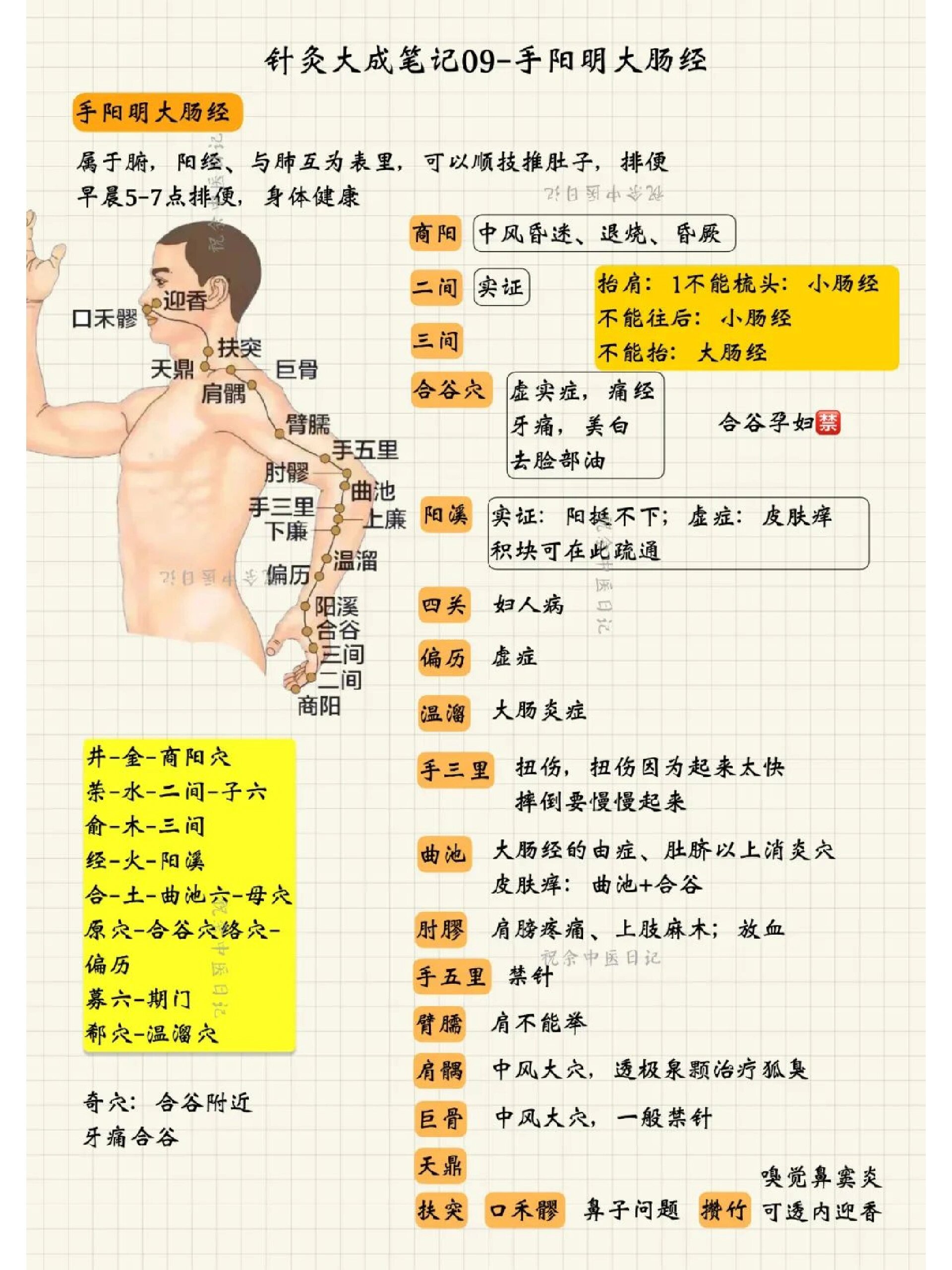 手阳明大肠经循行歌诀