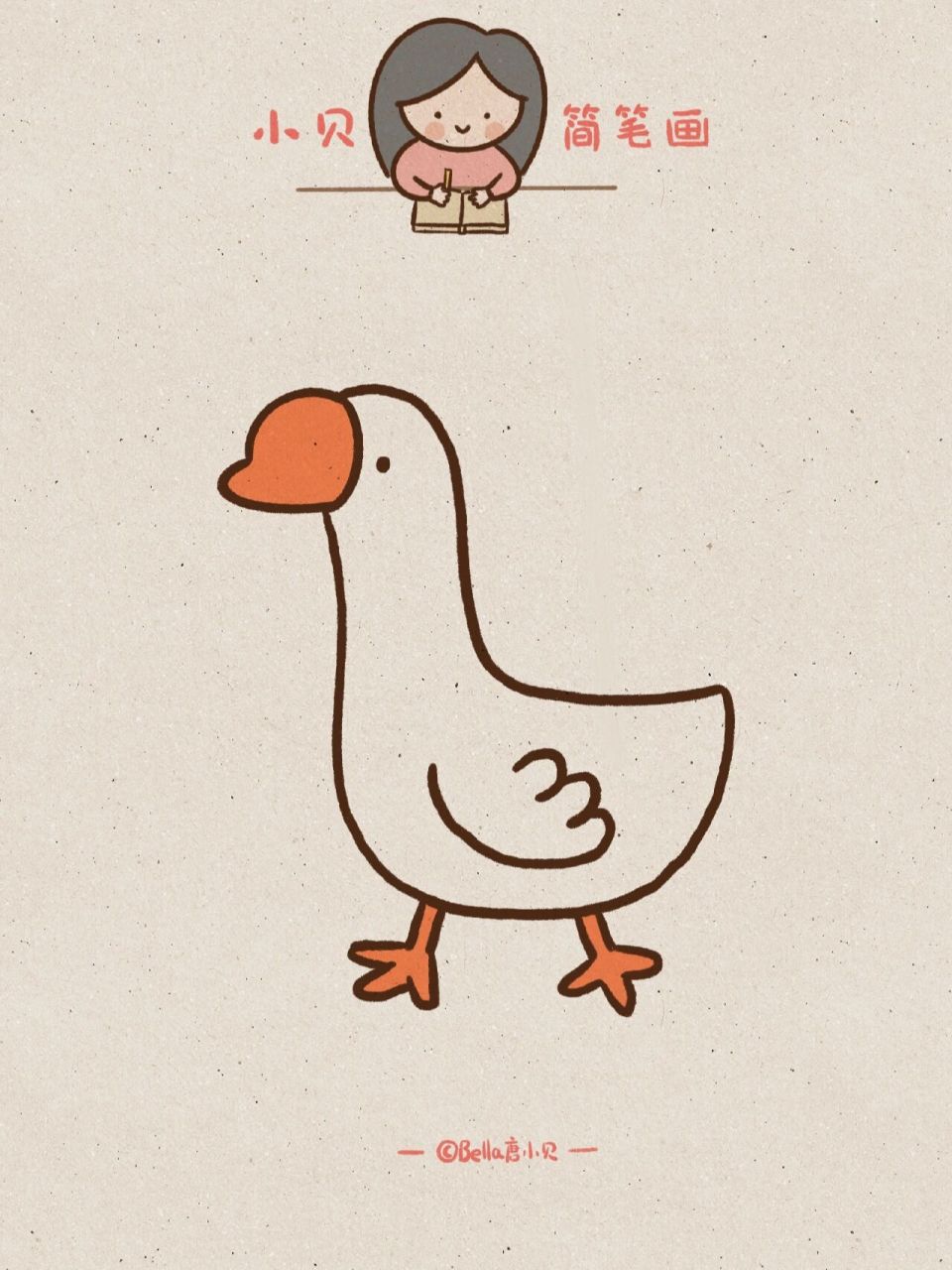 小贝简笔画-鹅 鹅是食草禽,全身都是宝,羽毛是富