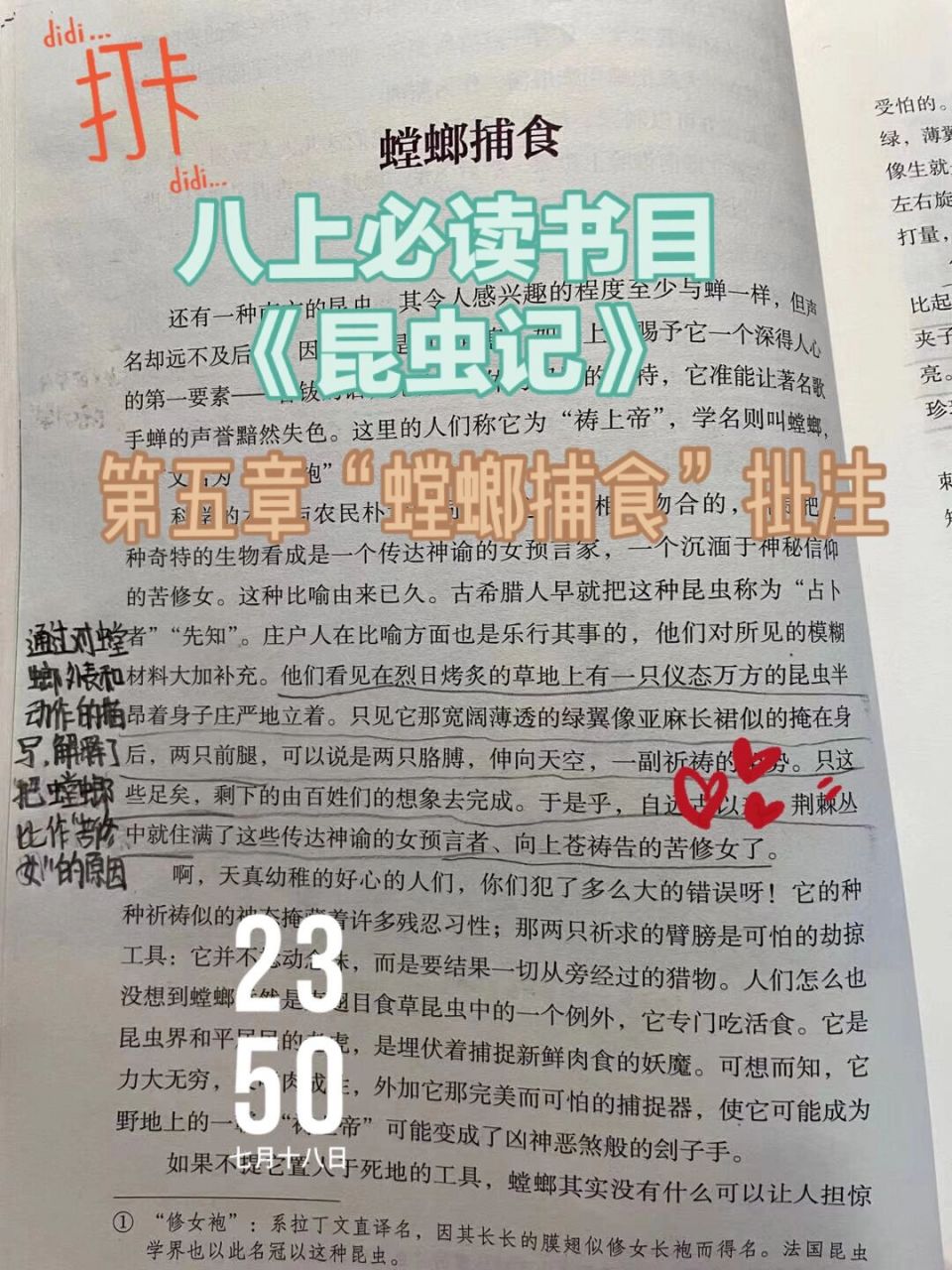 《昆虫记》第五章"螳螂捕食"批注 小红书只能发九张图片啊岂可修 解释
