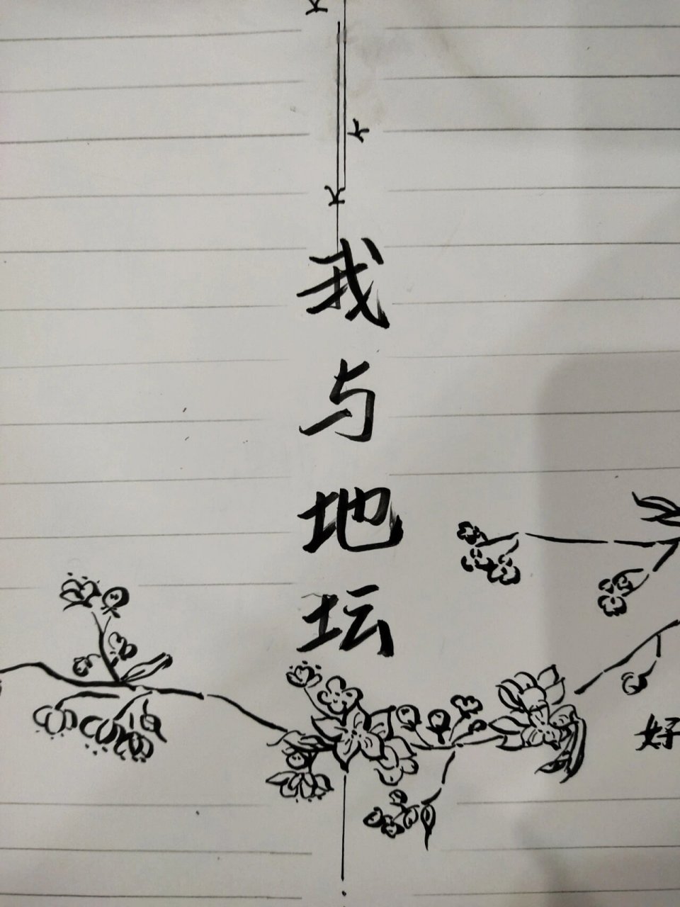 我与地坛 手抄报 读书小报 有一个小学生弟弟之第n 张手抄报