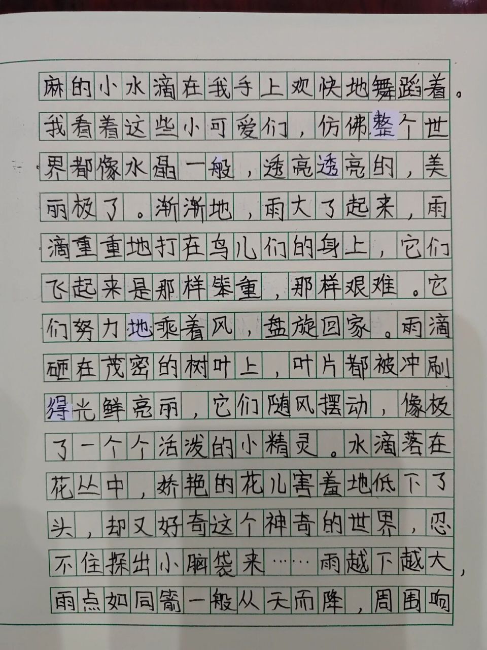 雨中即景作文450字图片