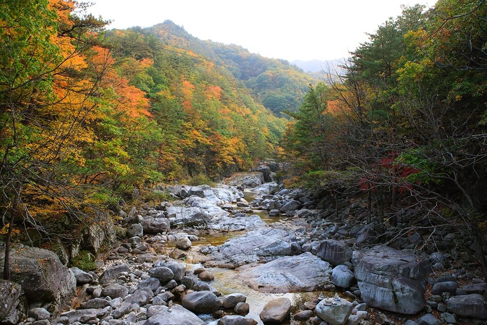 江原道雪岳山图片