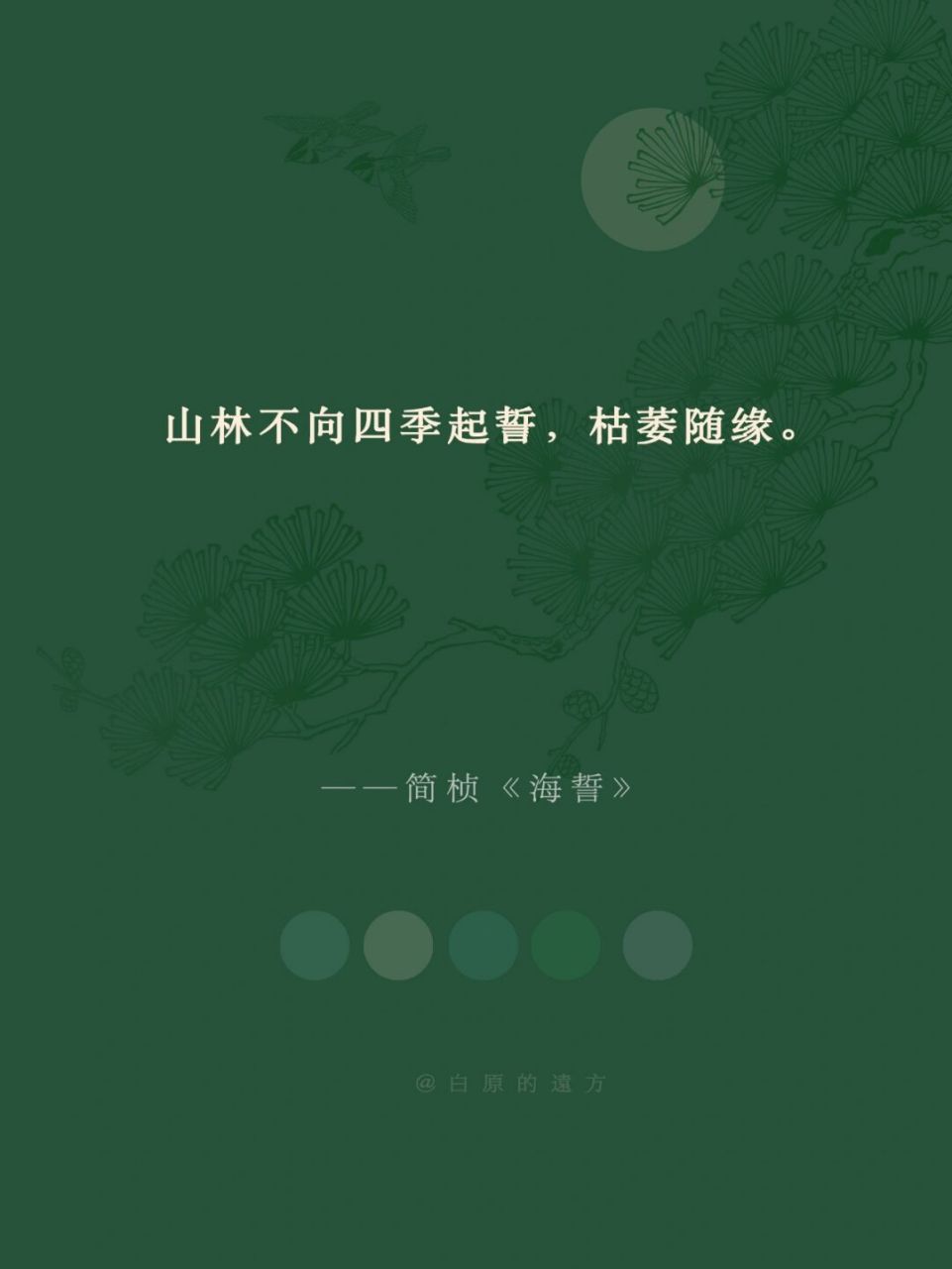 沧海之雀赤翅鸿,白雁随.山林乍开乍合,曾不知日月明.