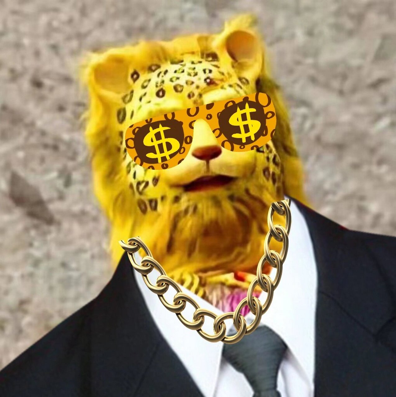 金钱豹头像图图片