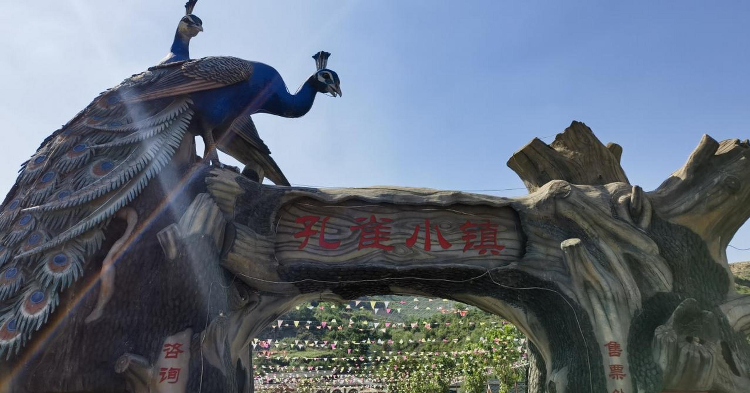微风习习,孔雀翱翔……走进太原市娄烦县天池店乡顺道村的孔雀小镇