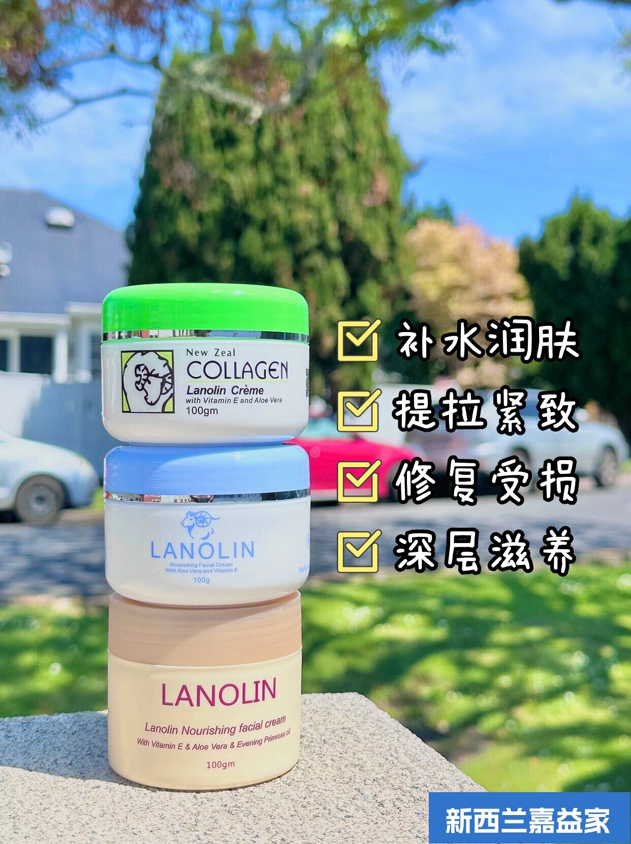 新西兰的绵羊油也算是他们的宝藏伴手礼之一?