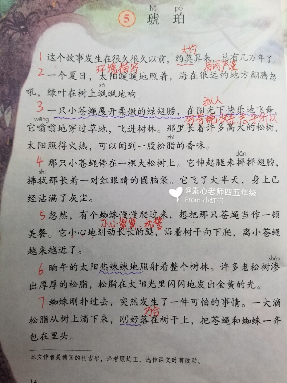 四年级下册第5课《琥珀》直播笔记 四年级每天下午两点点直播数学