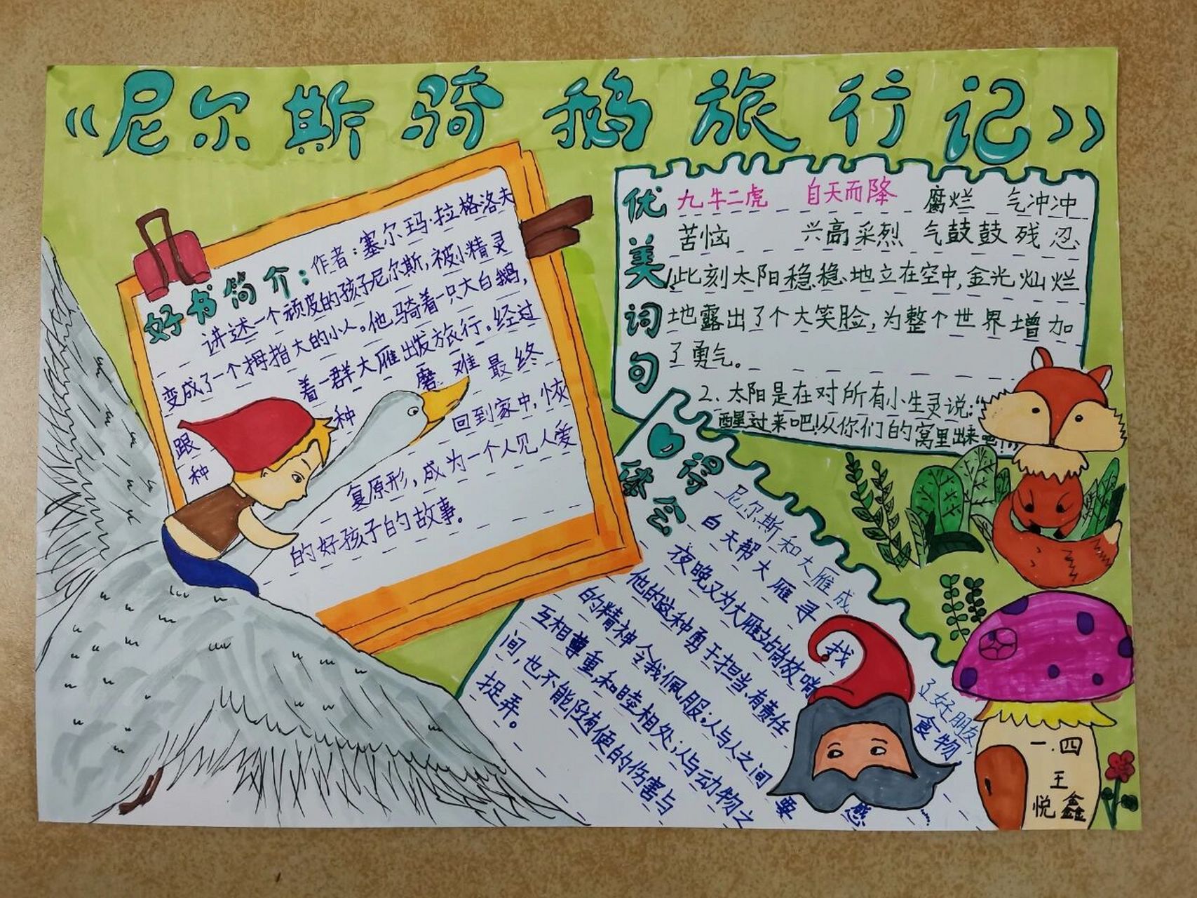 尼尔斯骑鹅旅行记 读书小报 手抄报 借鉴一位作者的.她画的太难了.