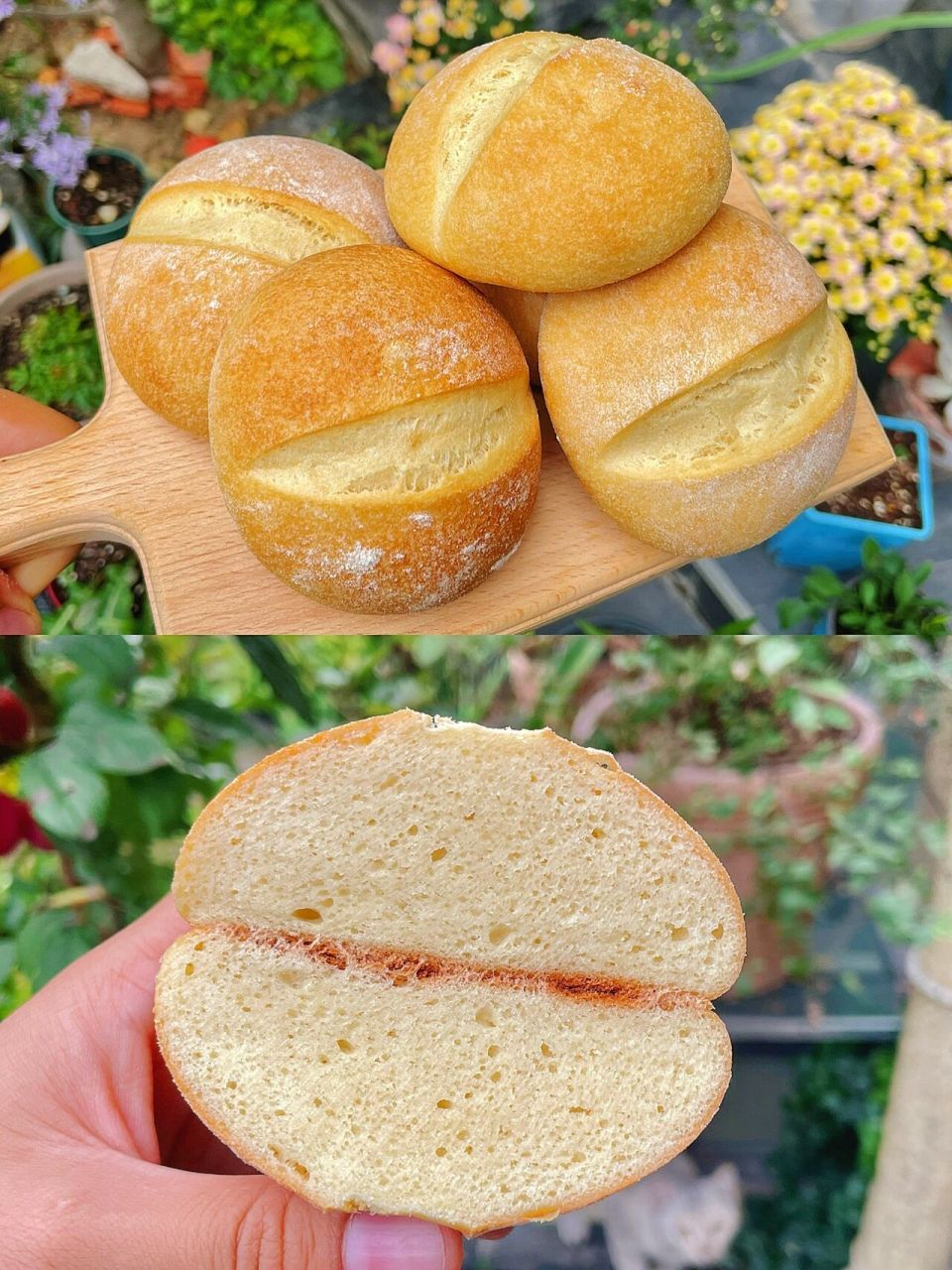 日清大米面包|一次发酵超快手6015软糯q弹 这真的是我做过材料最