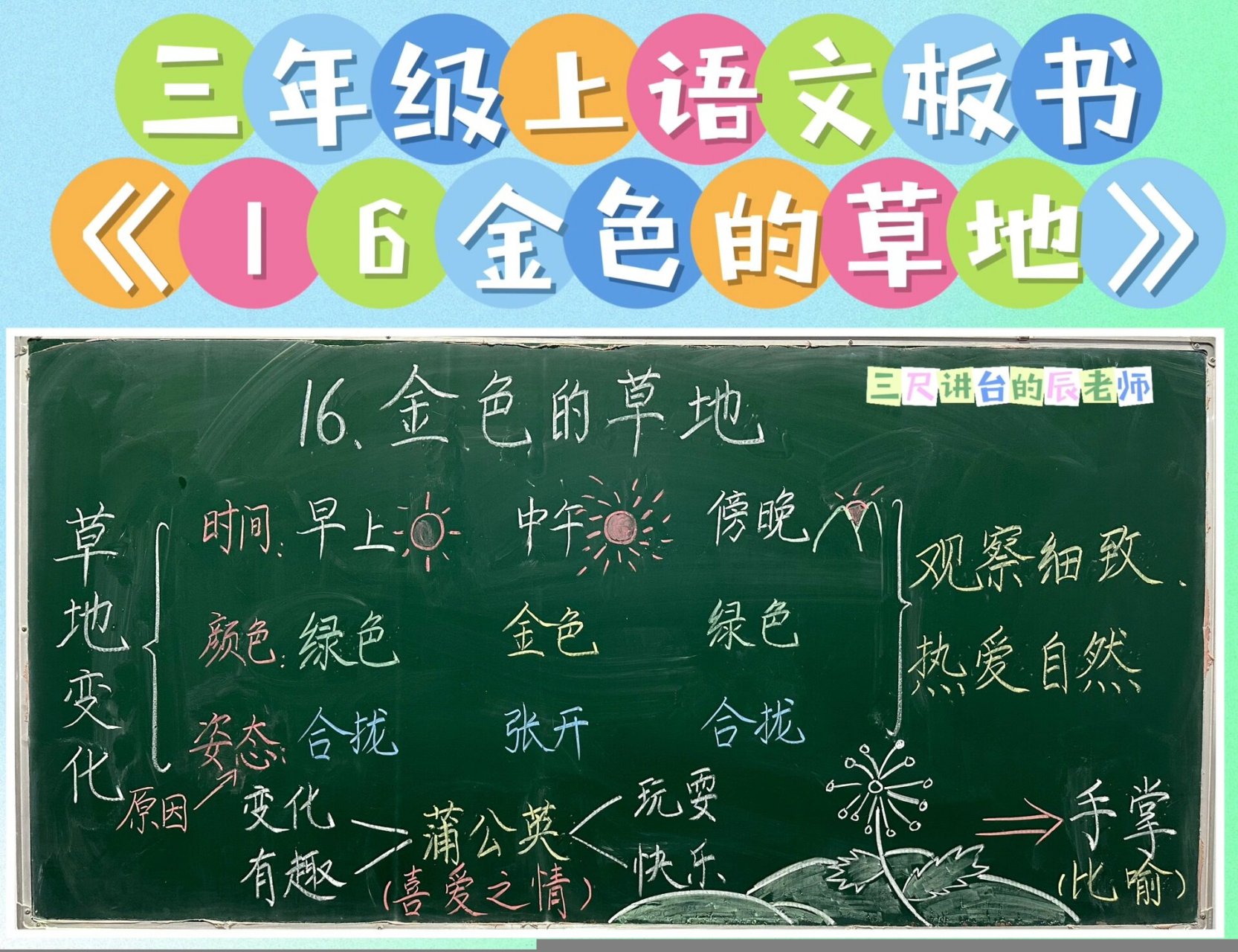 三年级上语文《16金色的草地》板书