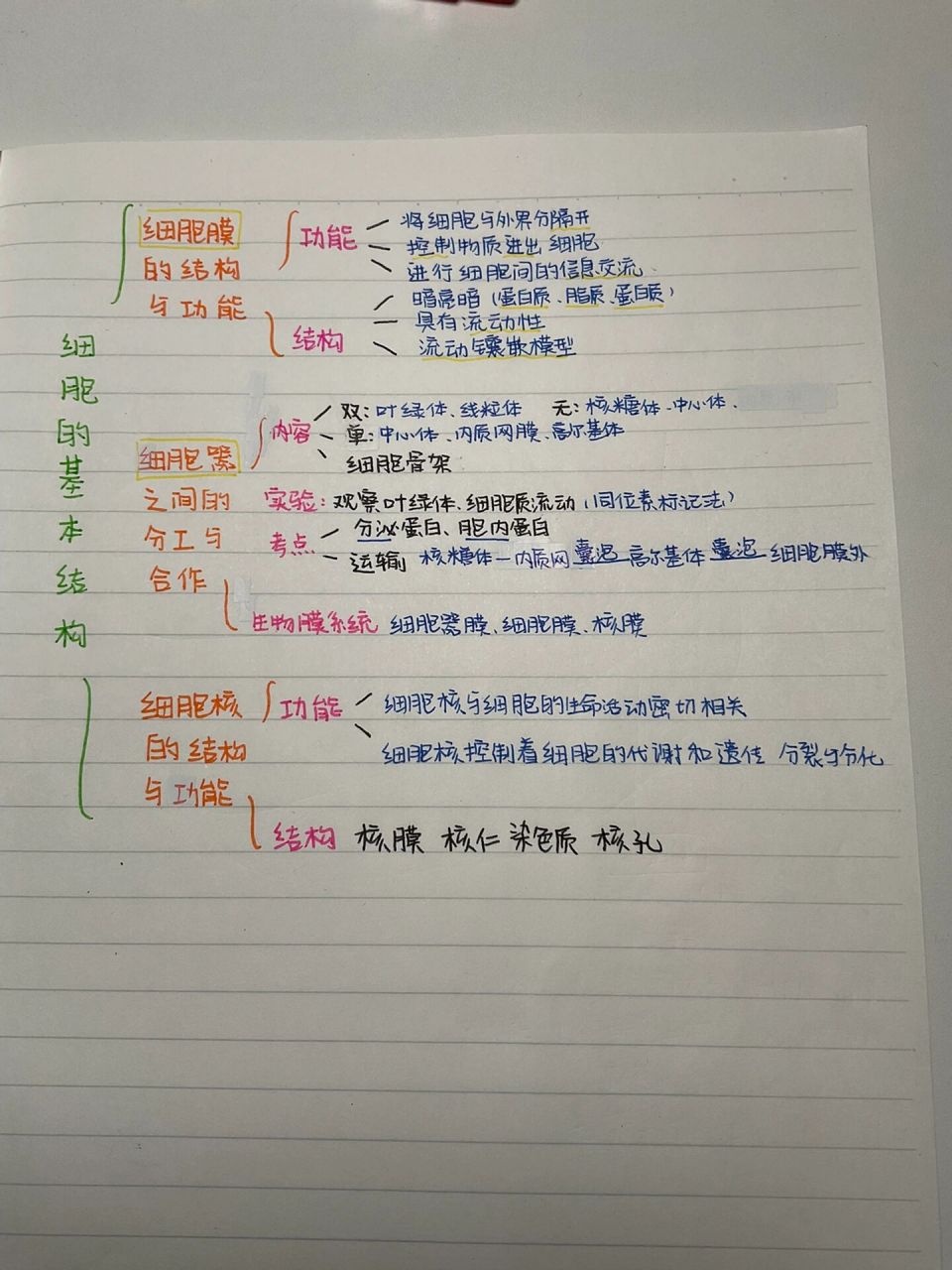 生物新必修一第三章思维导图(偷懒版)