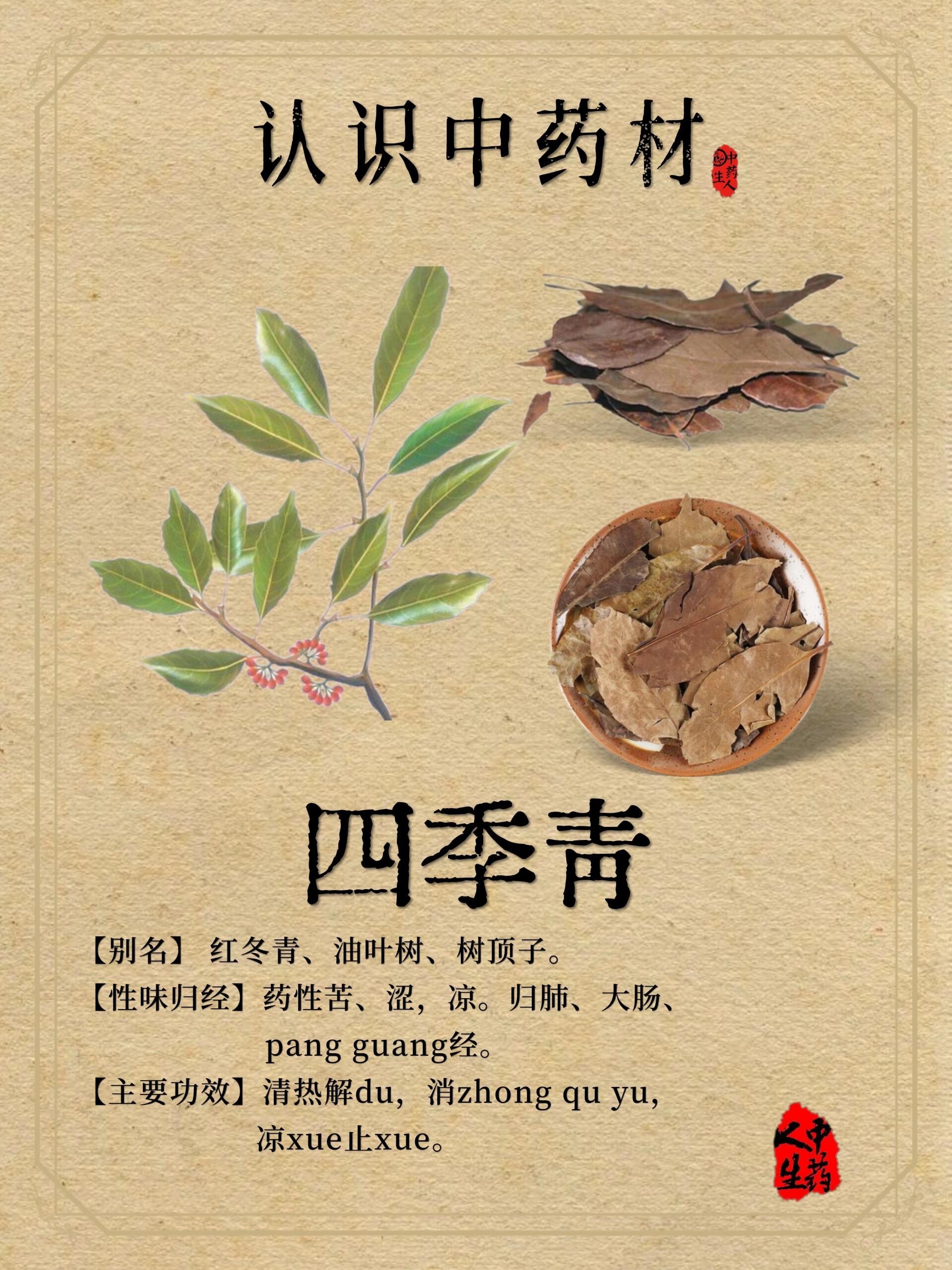 中药材—【四季青