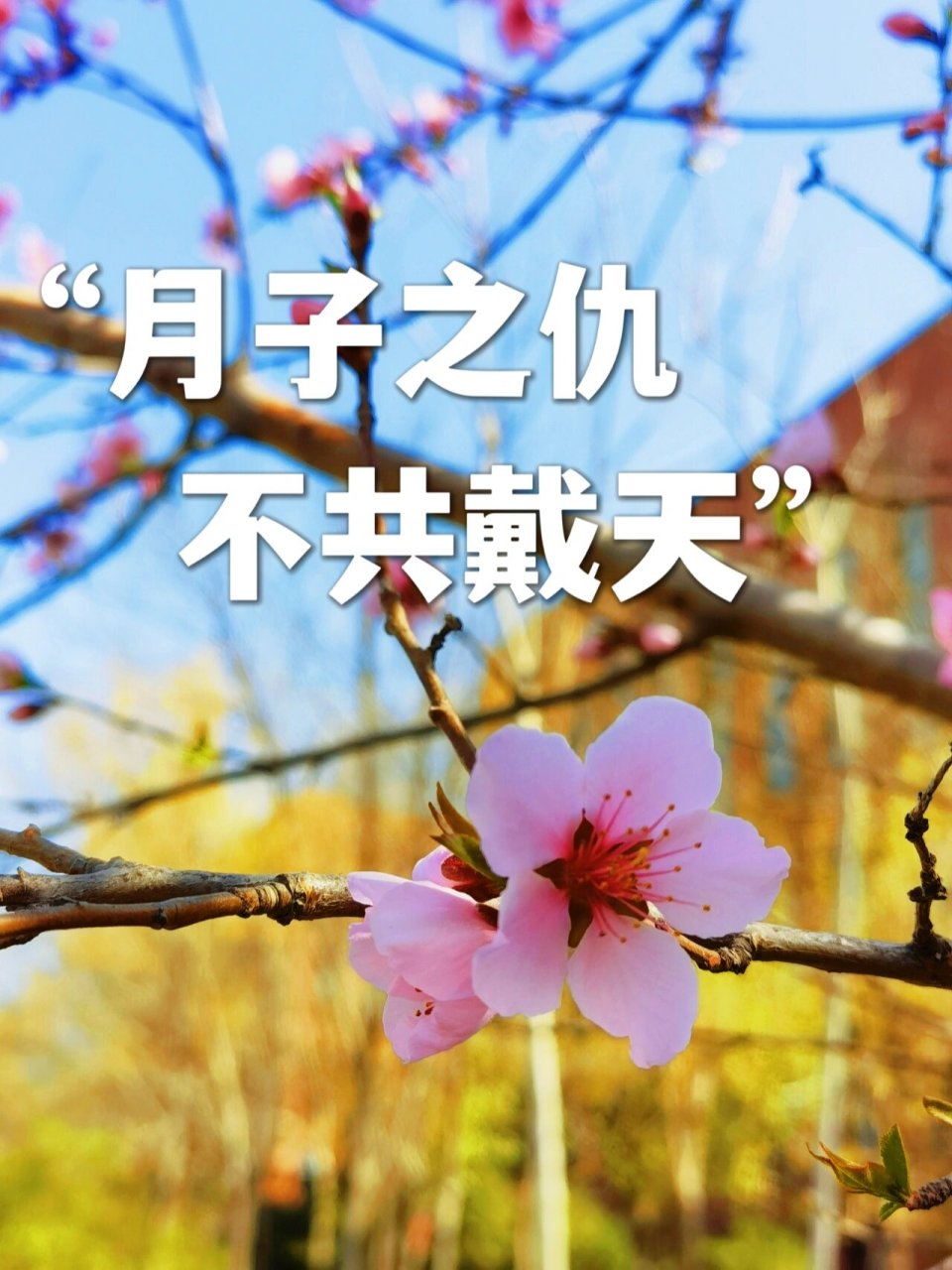 "月子之仇不共戴天"的化解大法(上) 今天看到一句话"月子之仇不共戴天