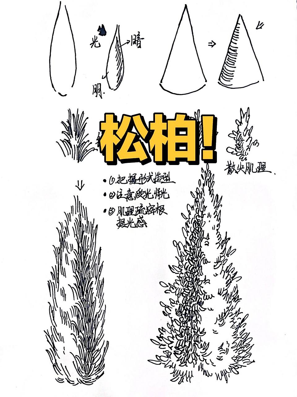 09画松柏【附照 视频请看往期,感谢点赞关注!