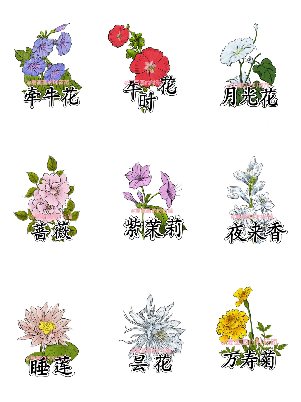 小学三年级下册语文公开课《花钟》板绘设计 有小伙伴想要这种干干净