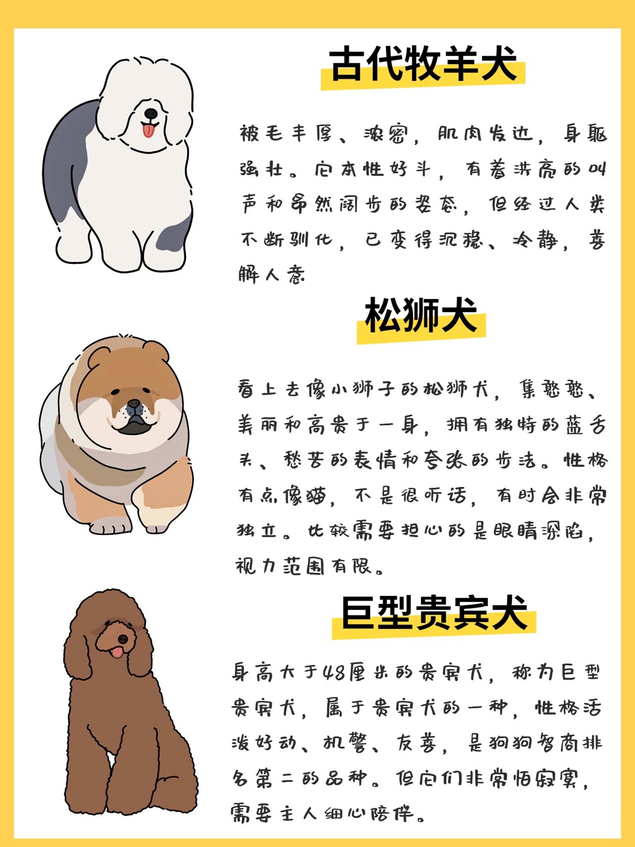 96615种受欢迎的大型长毛犬