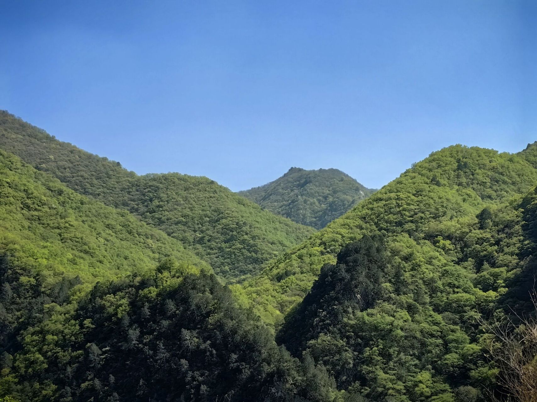 灵空山门票图片