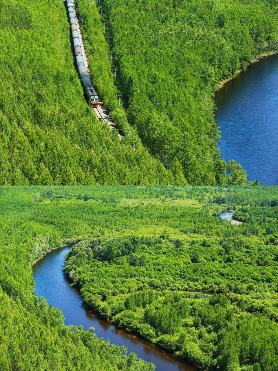 夏天的漠河值得去吗 一提到漠河大家第一想到的就是极光还有就是漠河