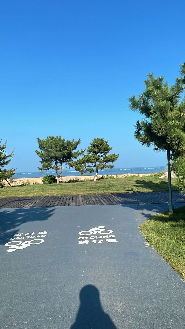 日照阳光海岸露营公园 赶海 挖沙 露营7215 此次出行主打的就是