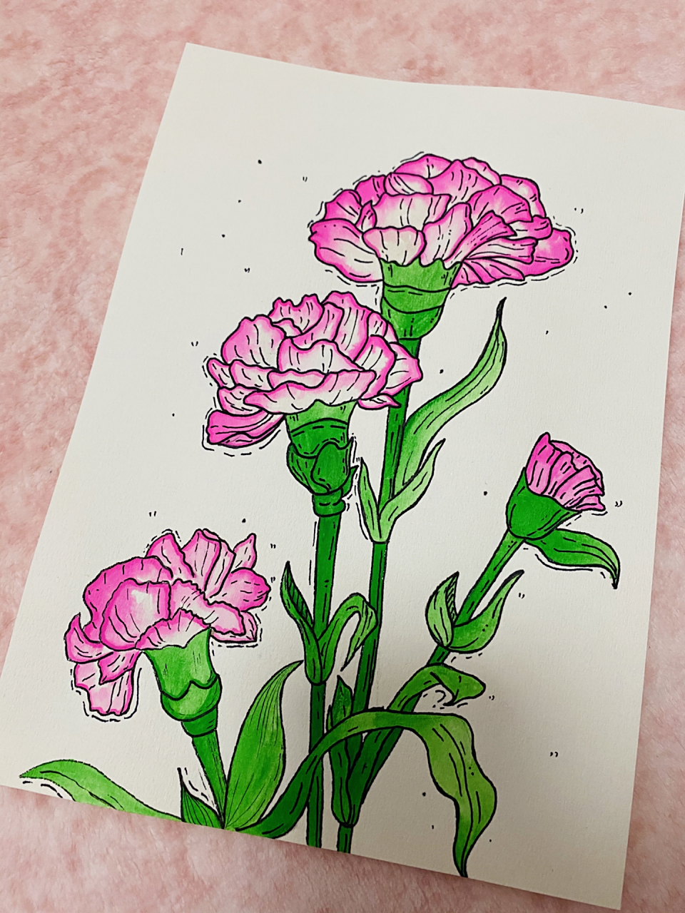 简笔画丨康乃馨丨内附绘画过程 临摹@喵太太绘画日记 绘画工具: ①