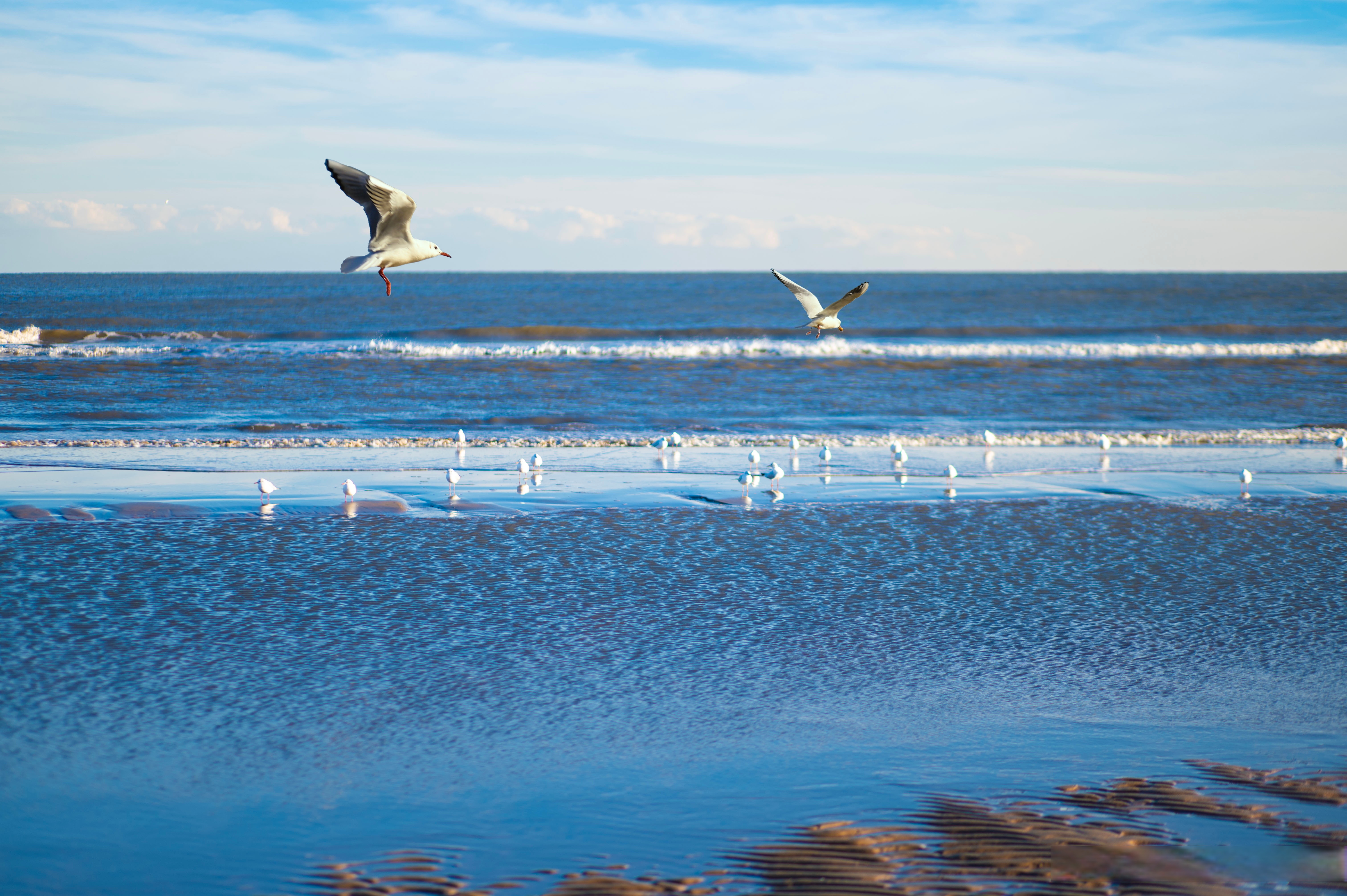 当我们到达这里的时候,已经是下午了,但天气清爽,阳光正好,蔚蓝海岸