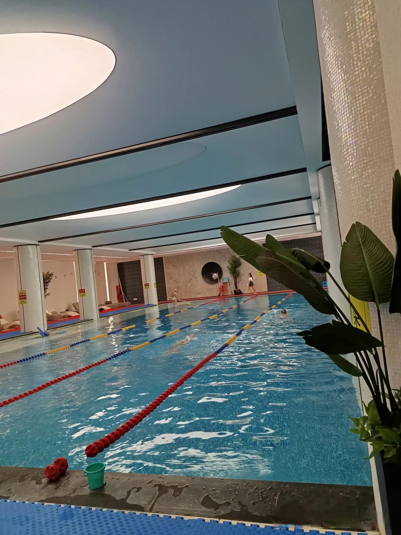 夏天游泳,就像给滚烫的身体来了场"冷水浴",游完上岸,那几小时别提多