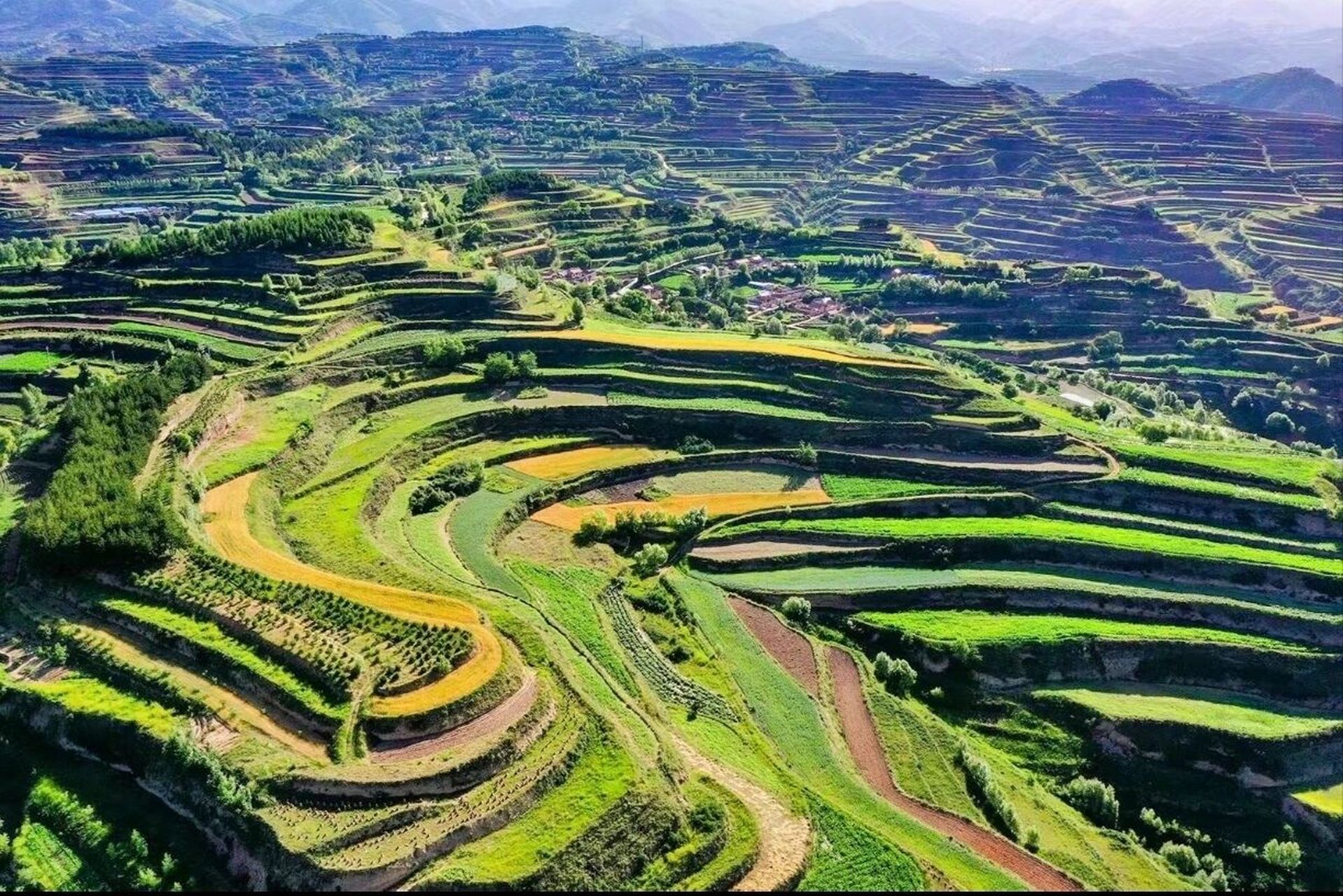 庄浪梯田 庄浪梯田,望山山翠,看地地平,如雕如塑,如诗如画.