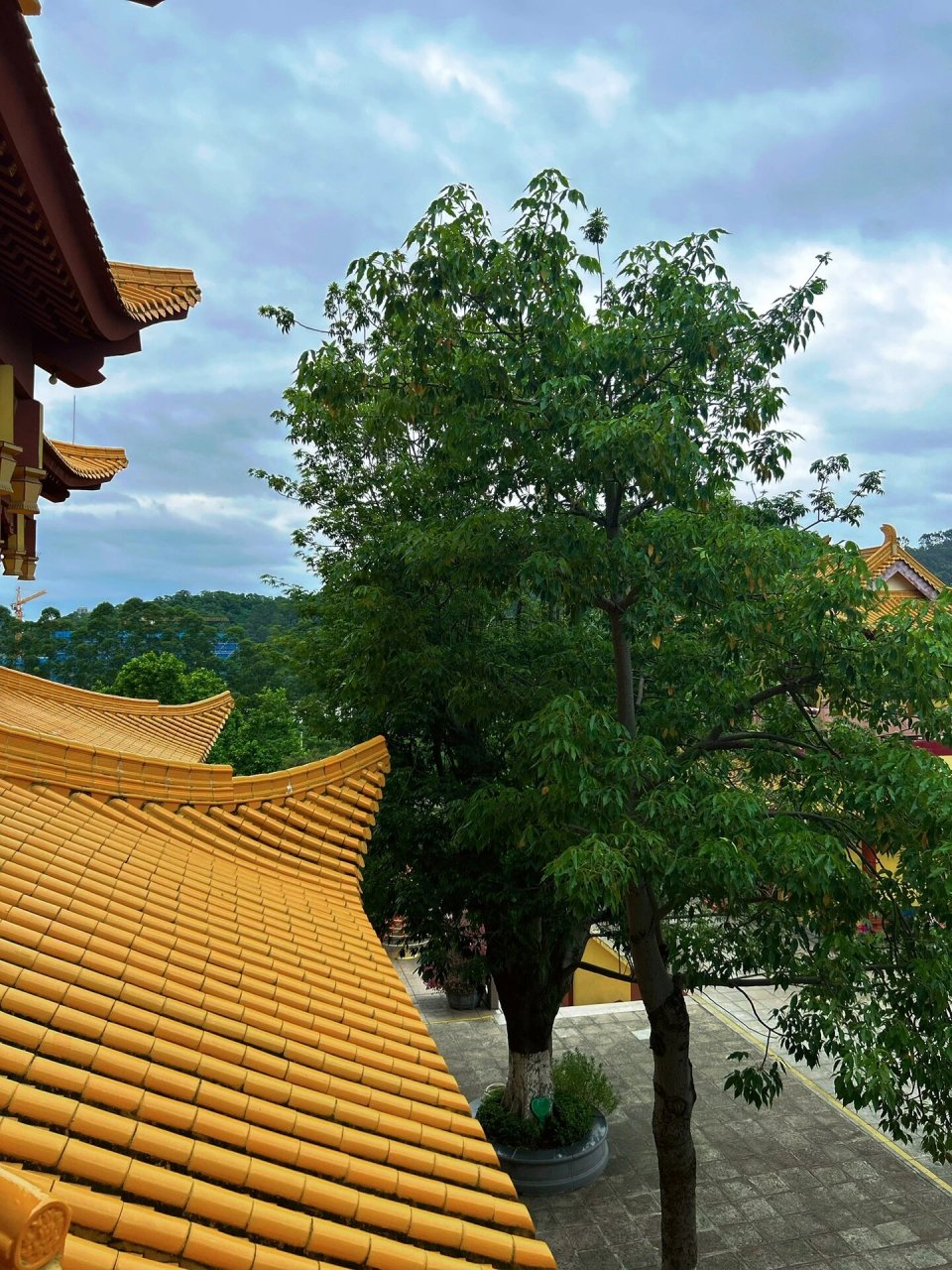 厦门石室禅院 千年古刹——石室禅院 地址:厦门市海沧区阳顺路8号 就