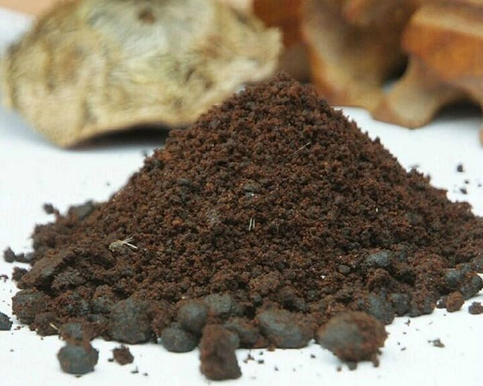 每日认识一味中药-麝香 麝香 别名遗香,脐香,当门子,生香,麝脐香.