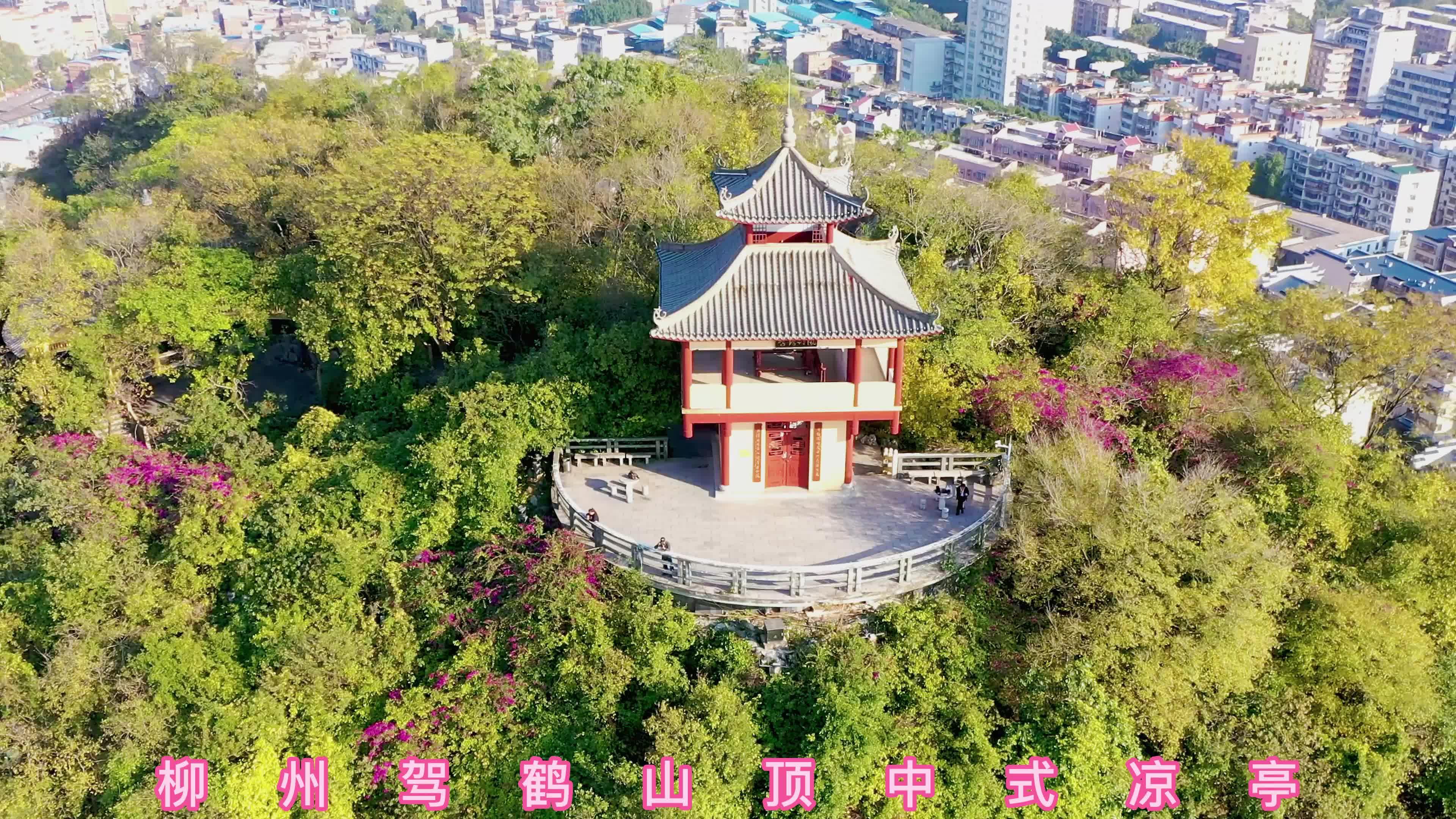 鹤山八景山庄图片