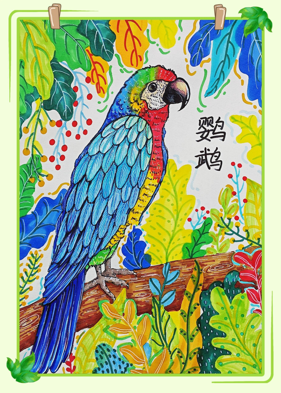 背景装饰出树叶以及花朵的造型,利用线描的形式表现,与主体物鹦鹉的