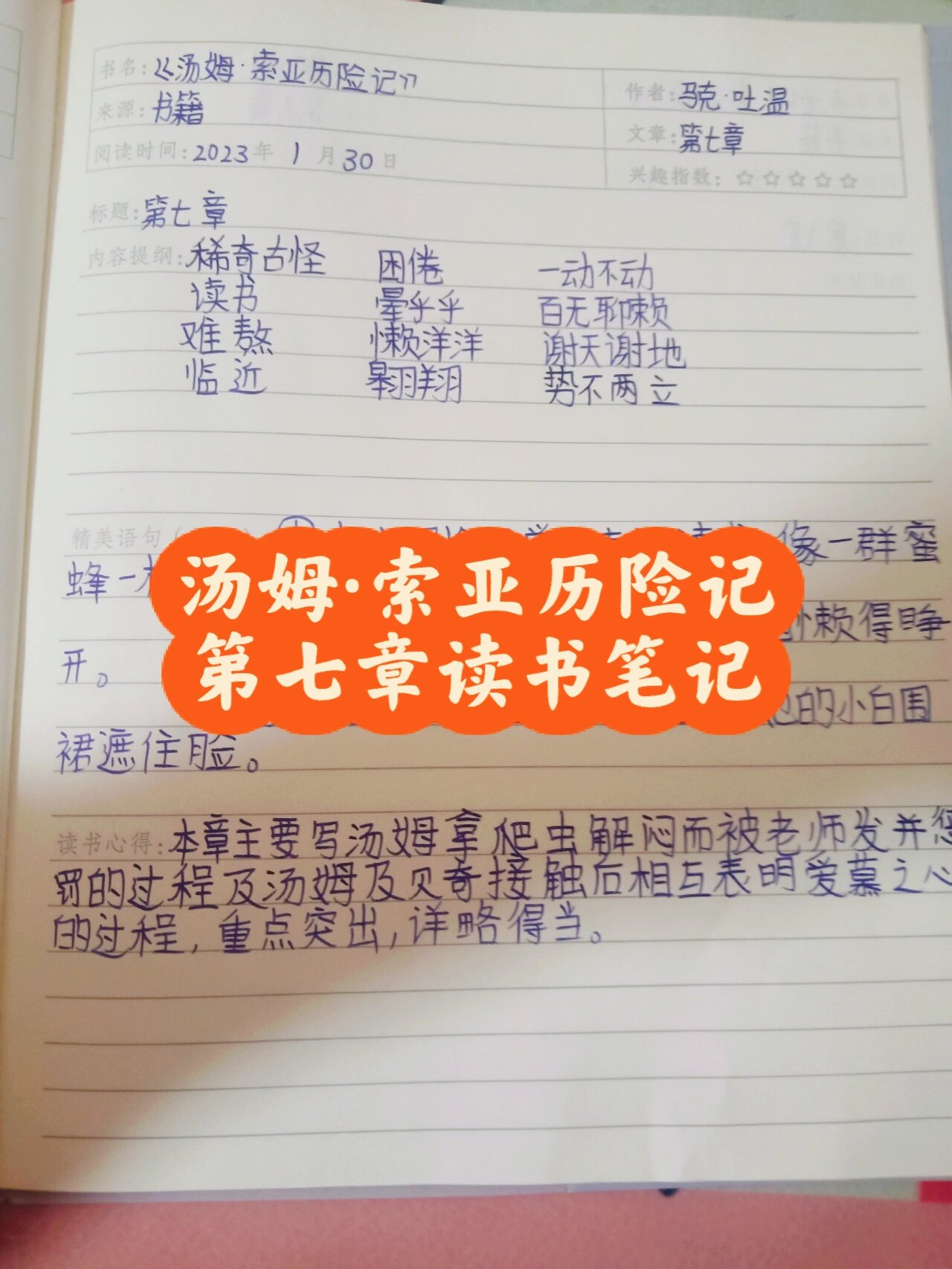 汤姆·索亚贝基图片