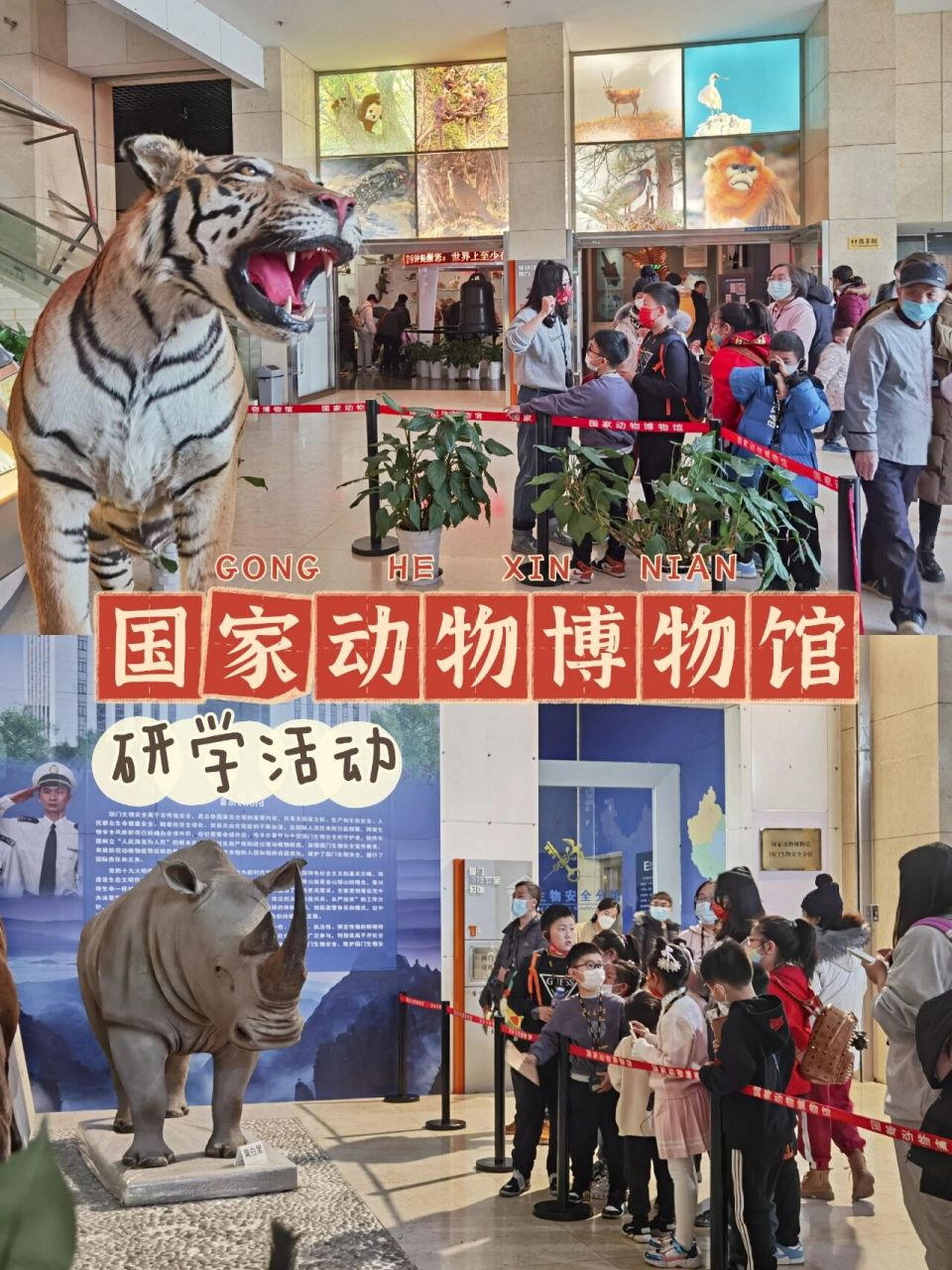 一年级寒假研学活动:99国家动物博物馆 开年的第一家博物馆瞄准了"