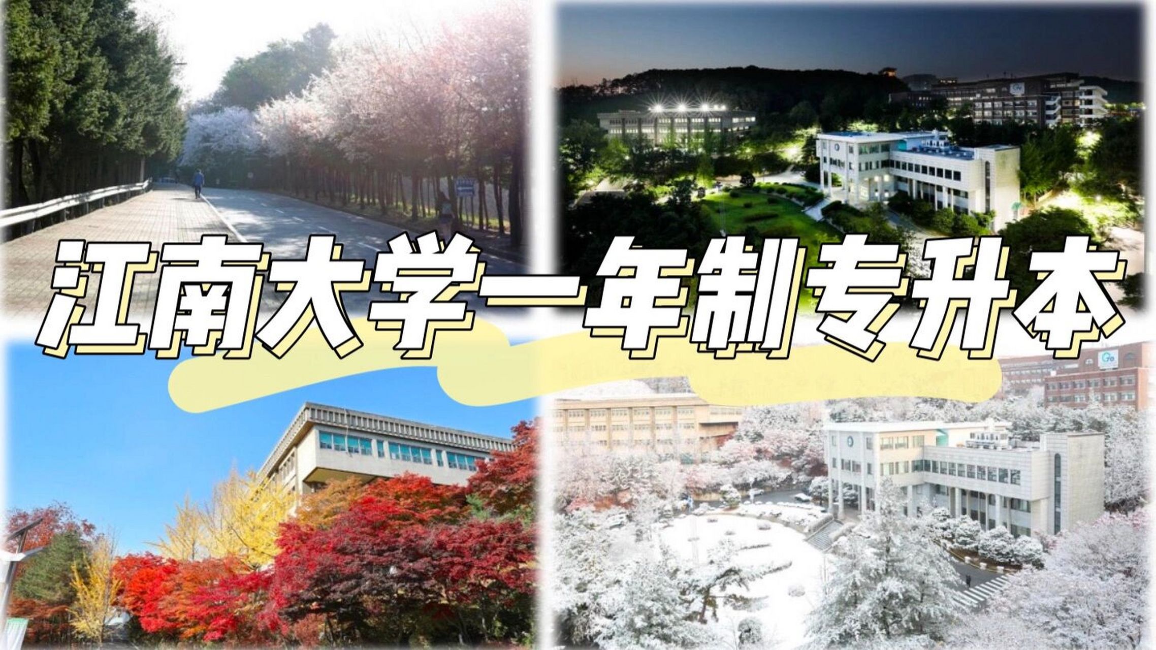 韩国江南大学图片