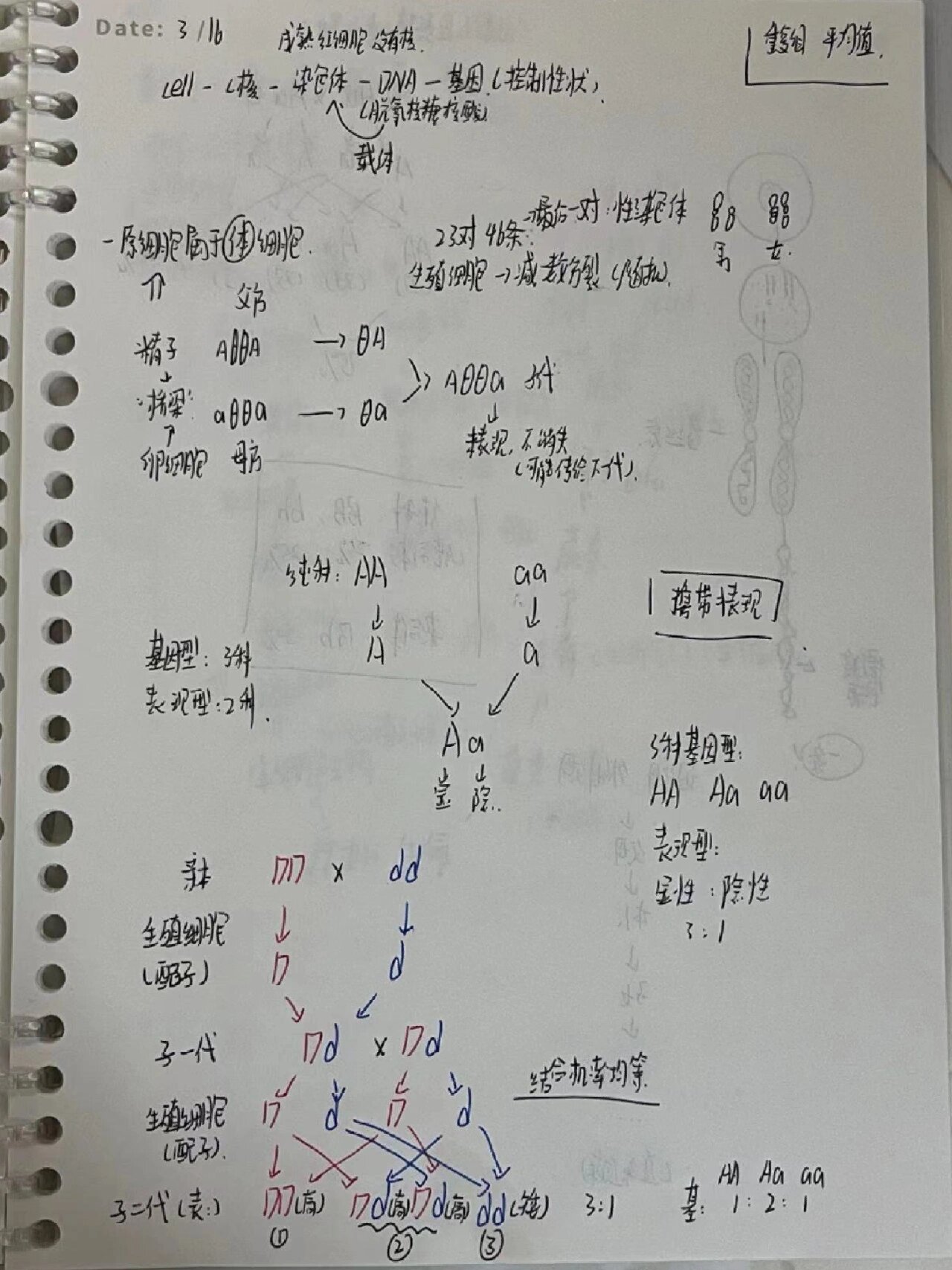 生物遗传 花的结构图笔记分享