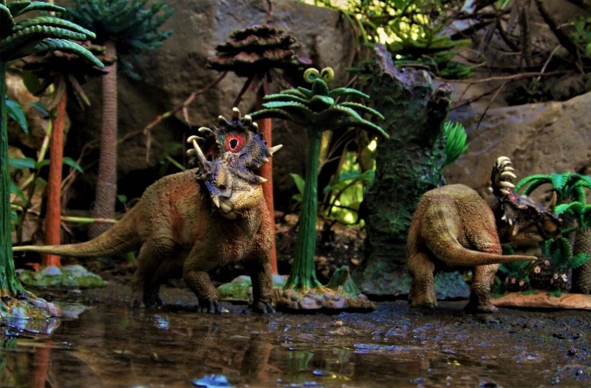 中国角龙 恐龙总目 鸟臀目 角龙科 尖角龙亚科 中国角龙属 诸城中国