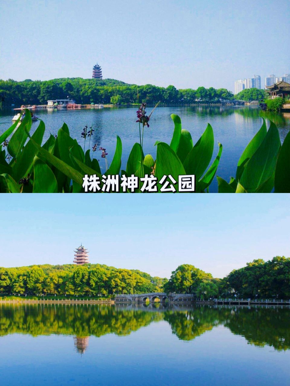 株洲万丰湖公园图片