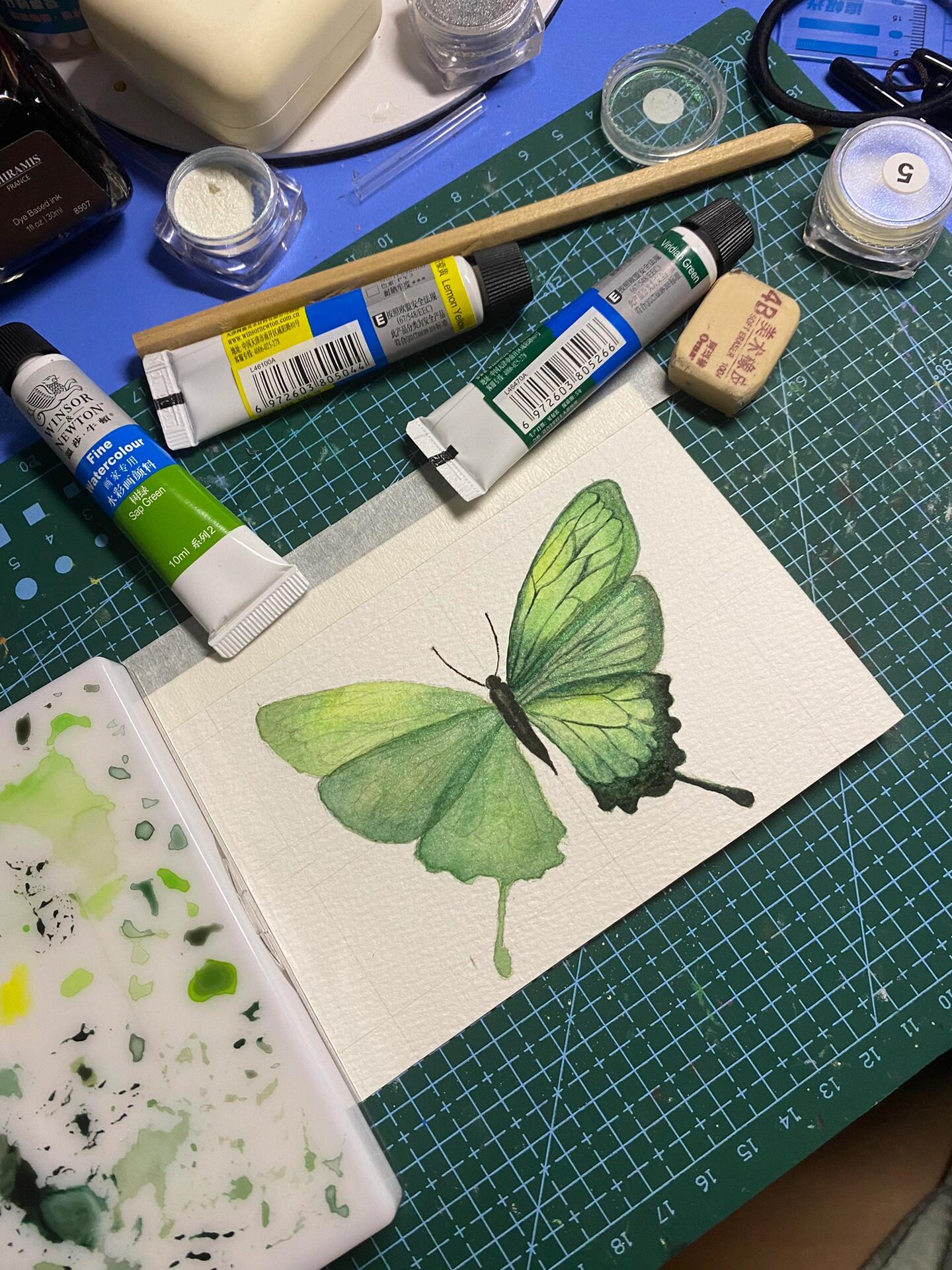 03水彩蝴蝶03|附步骤图 蝴蝶 butterfly 〔英] 迈克尔 61布洛克