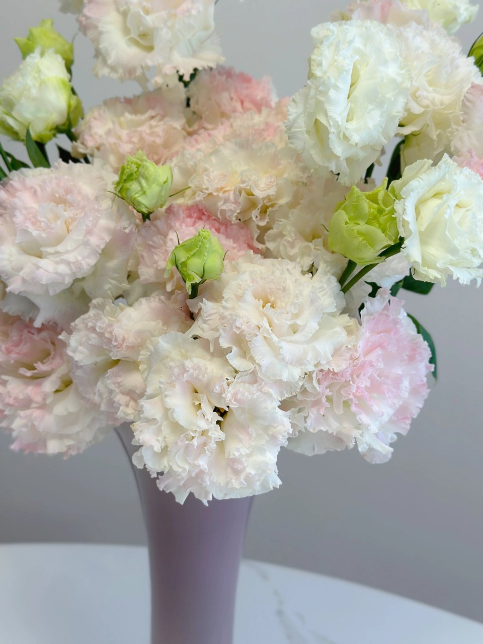 带你每天认识一种花材230/冰淇淋洋桔梗 波浪卷边 花头比普通洋桔梗大