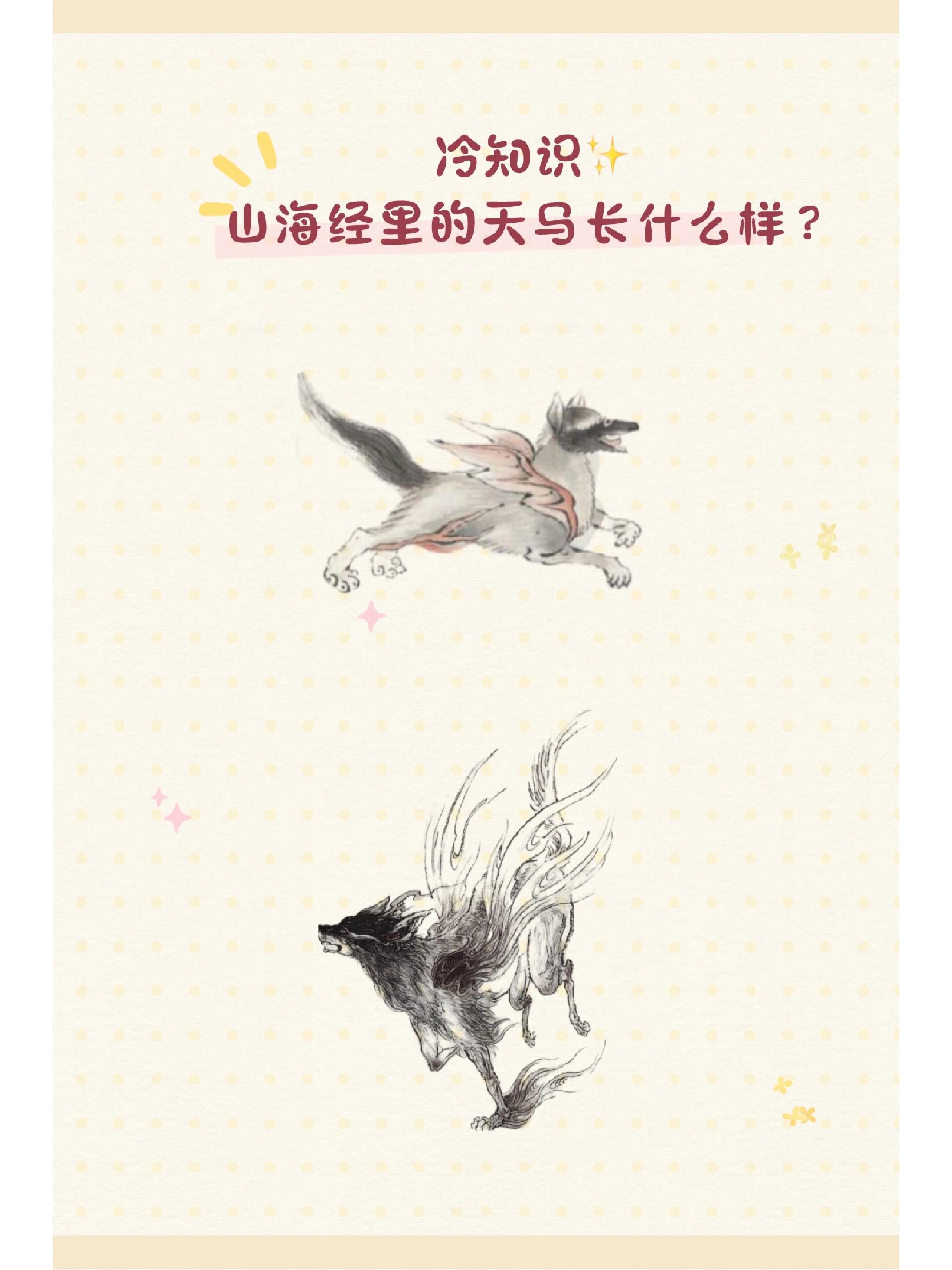 冷知识78《山海经》中"天马"长什么样