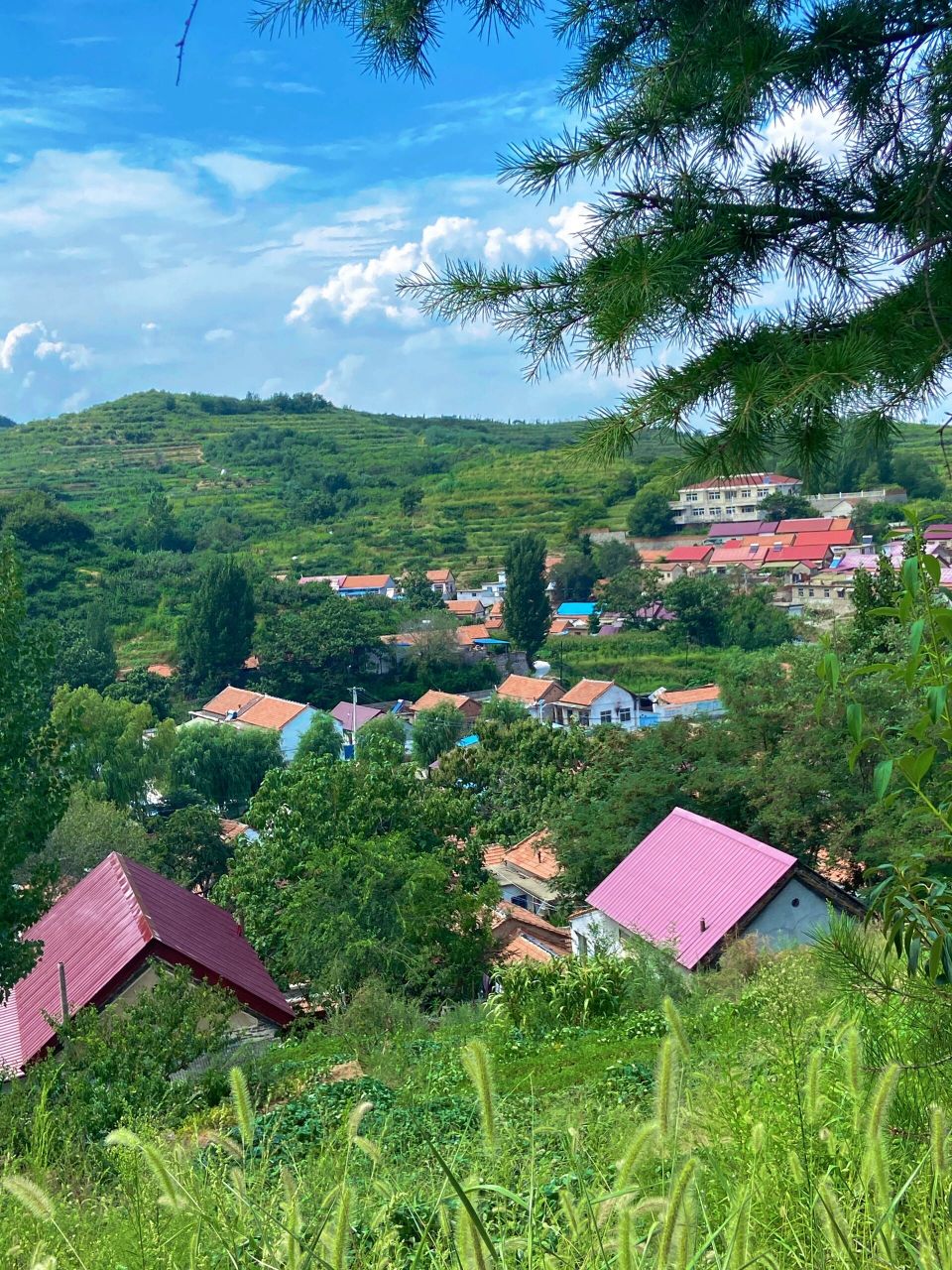 淄博三水源|朋友以为我去了大草原 进景区一定要按按着指引的路线走