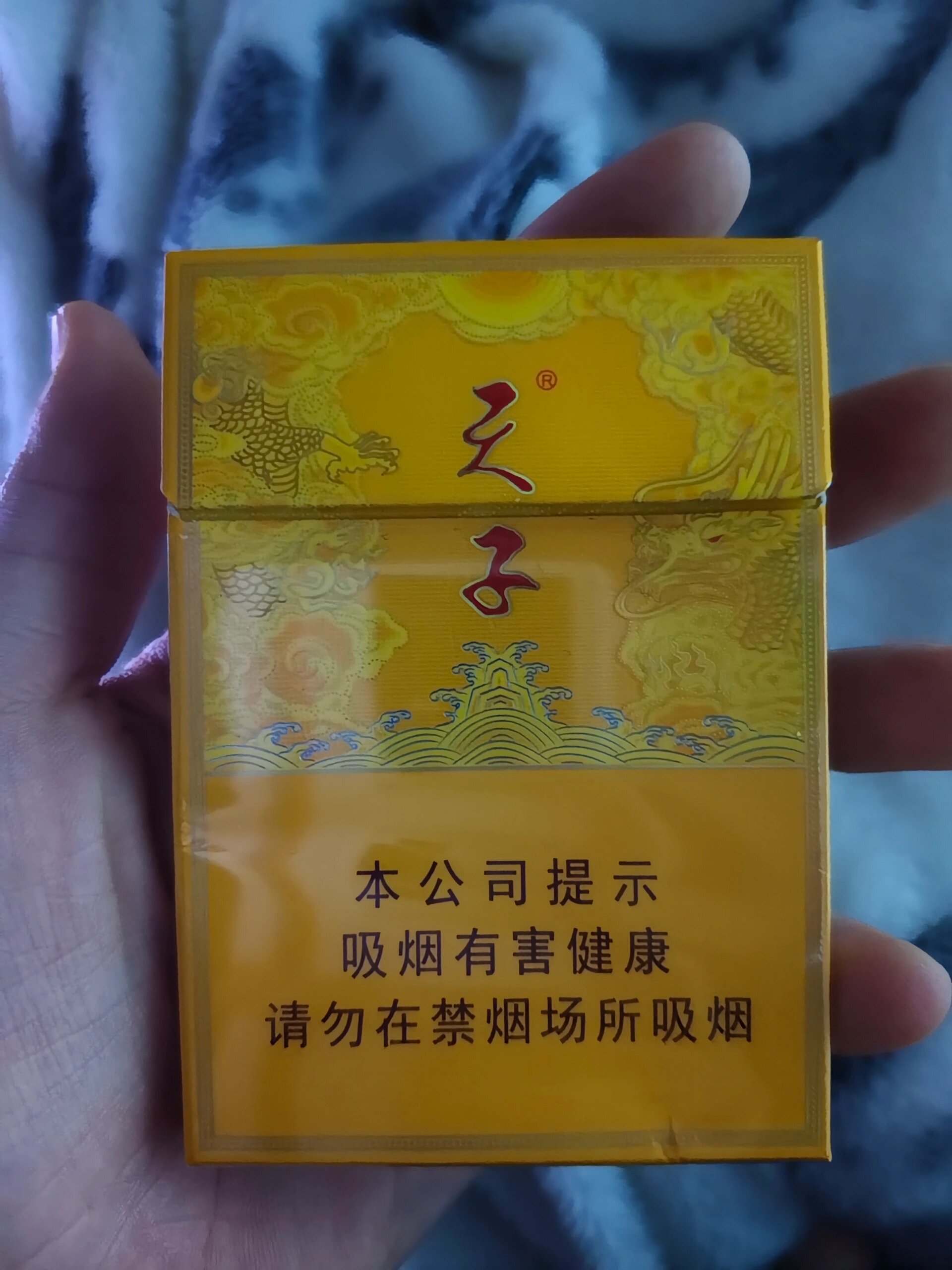 重庆yan 天子 中支 25