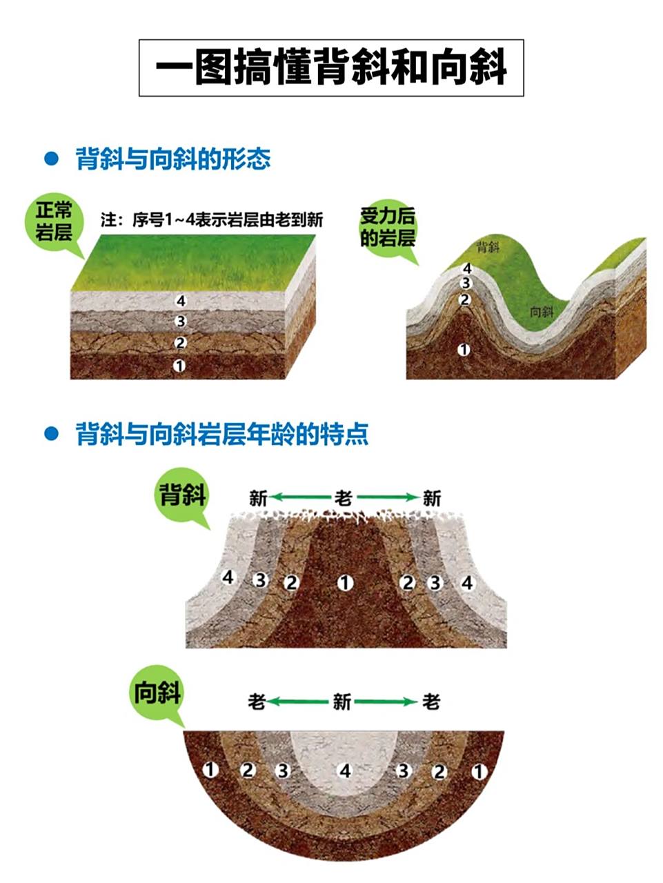 一图搞懂背斜和向斜