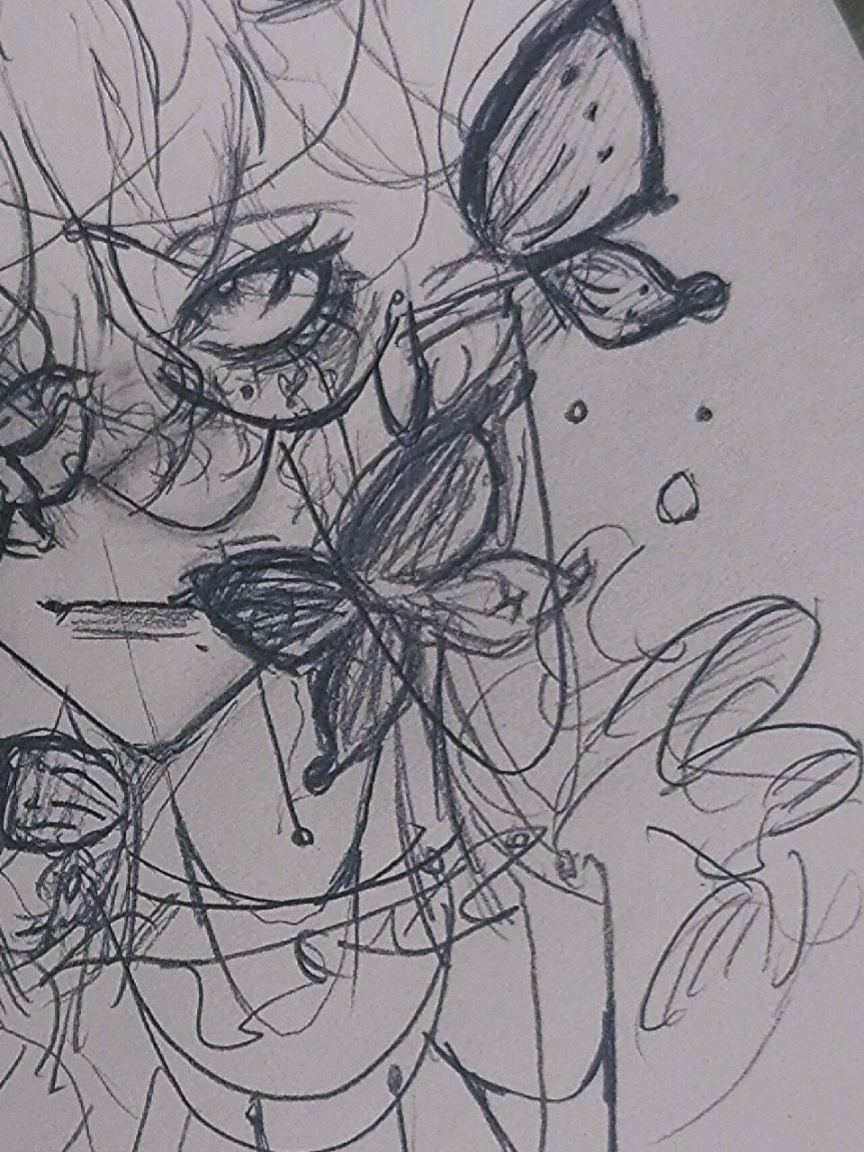 化蝶 比例崩了就崩了吧,搞得我比例哪次没崩似的