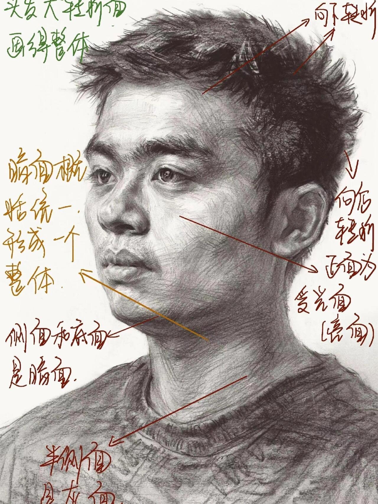 素描头像结构解析