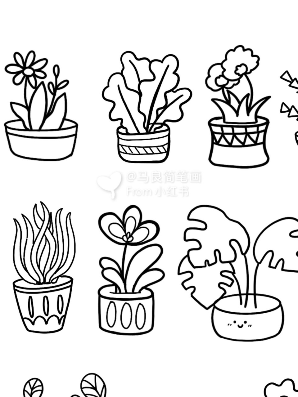 小植物简笔画校园图片
