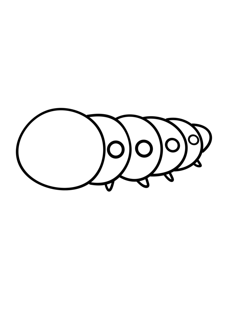 简笔画教程分享 可爱毛毛虫