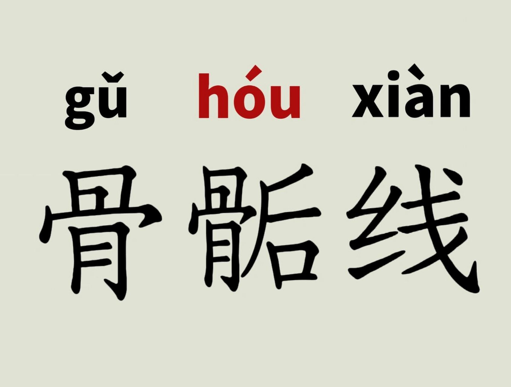 骨骺线 骨骺与干骺端之间的软骨,在幼儿的x光片上表现为一条较康哪