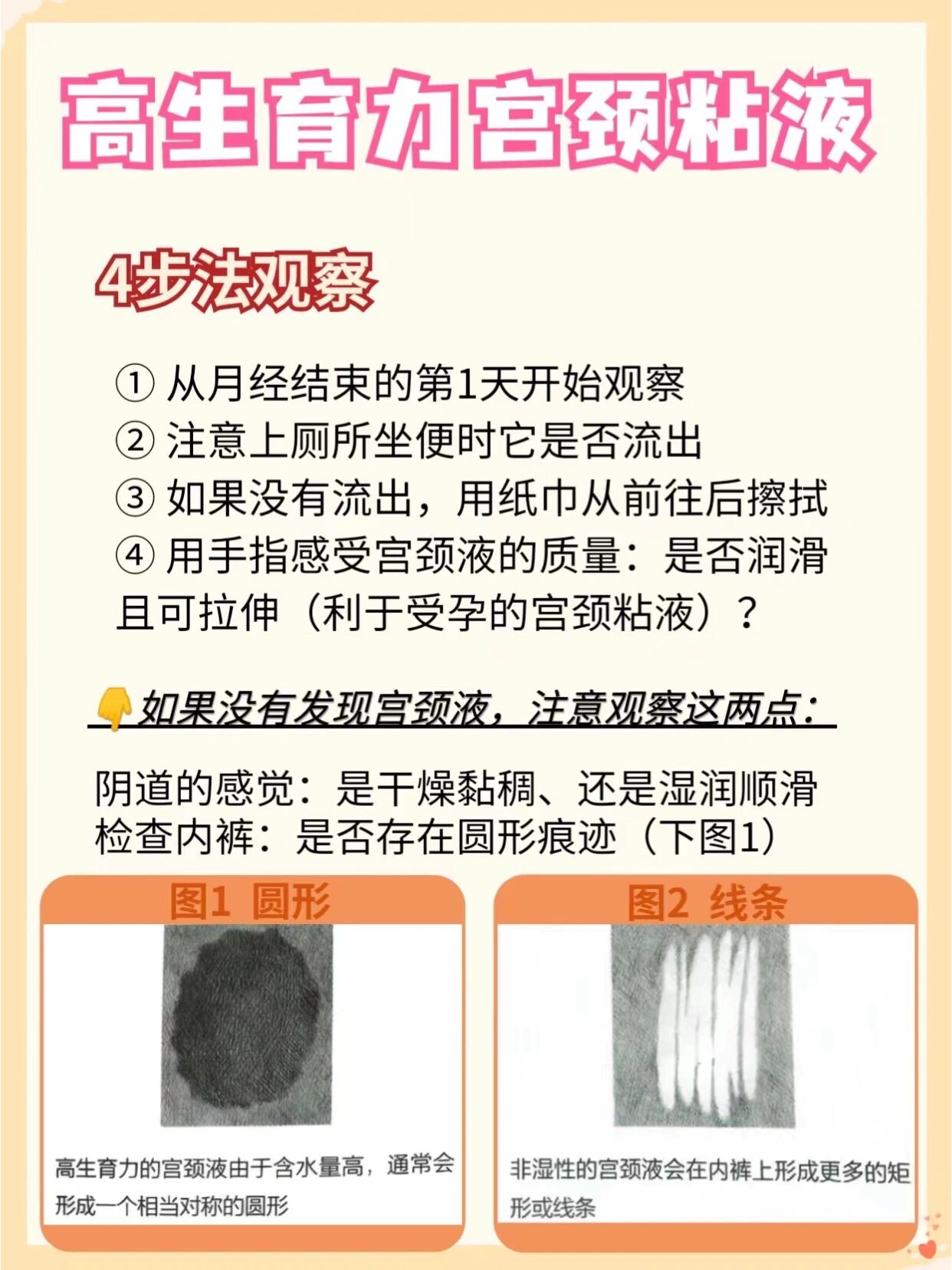 把握受孕蕞佳时机 宫颈粘液对于成功怀孕有重要?