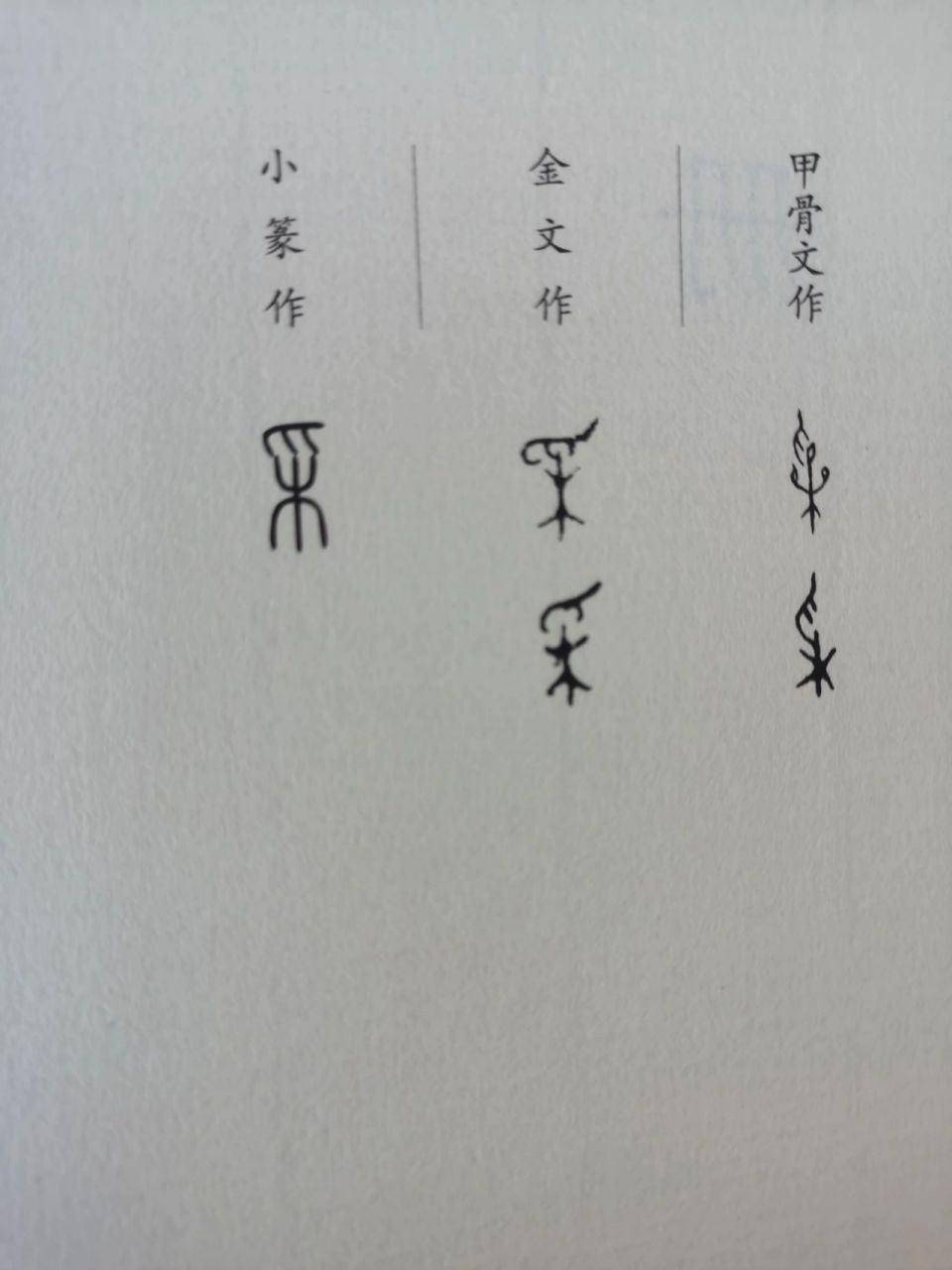 大美汉字11——采 甲骨文第一字形从爪从果会意,表示用手摘取果实.